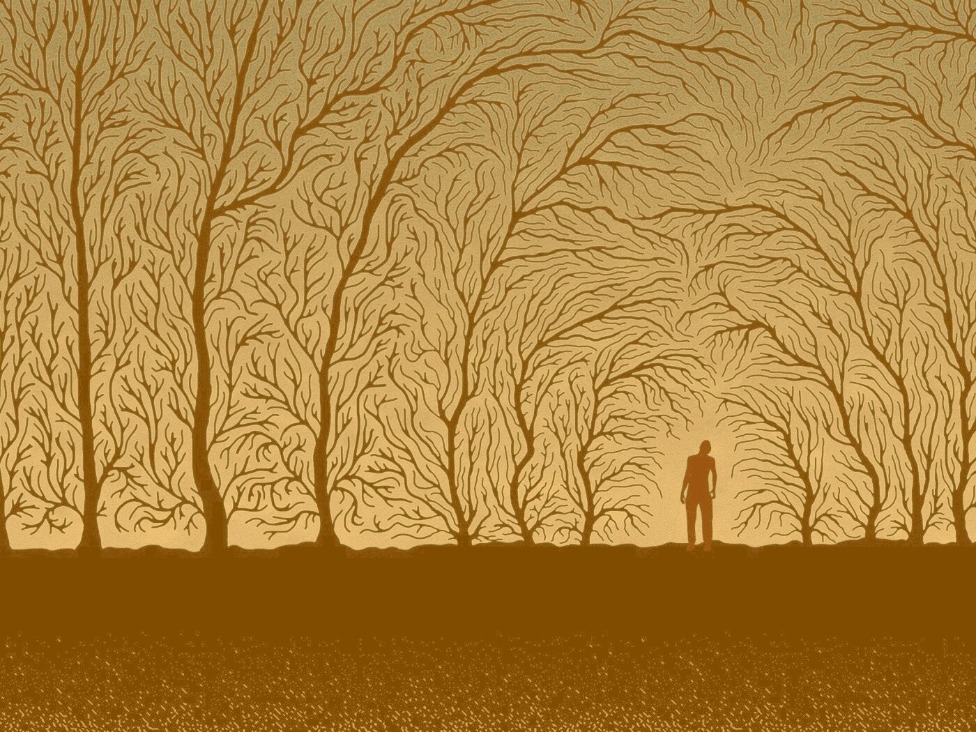 Смыкающиеся деревья обои