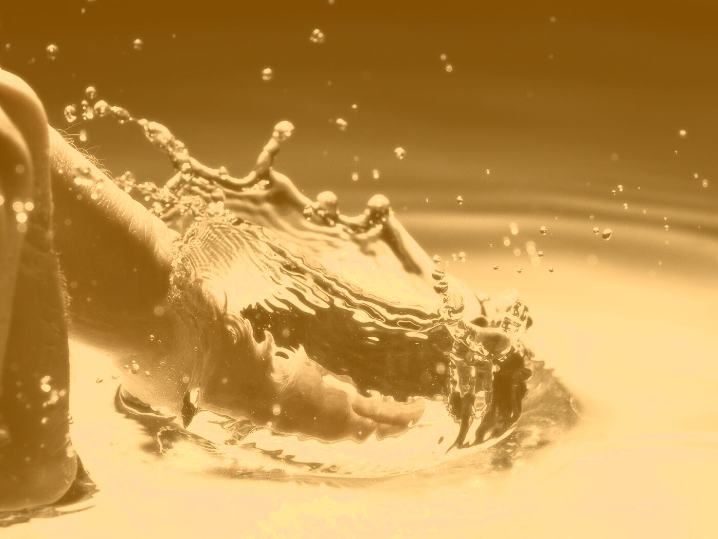 Палец в воде обои