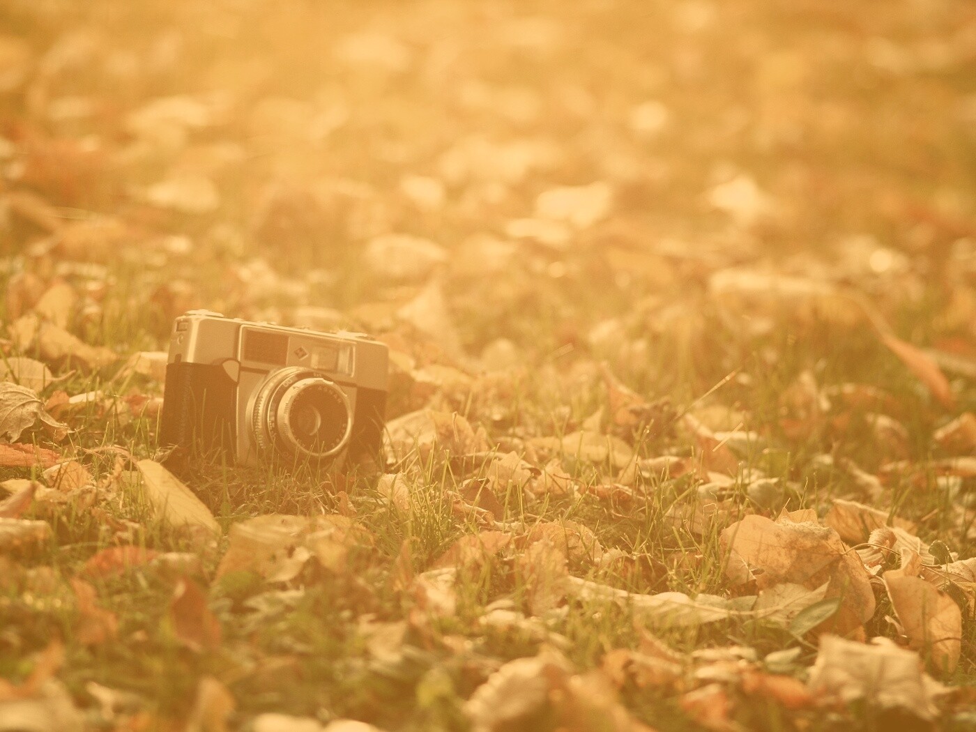 Старый фотоаппарат в траве обои