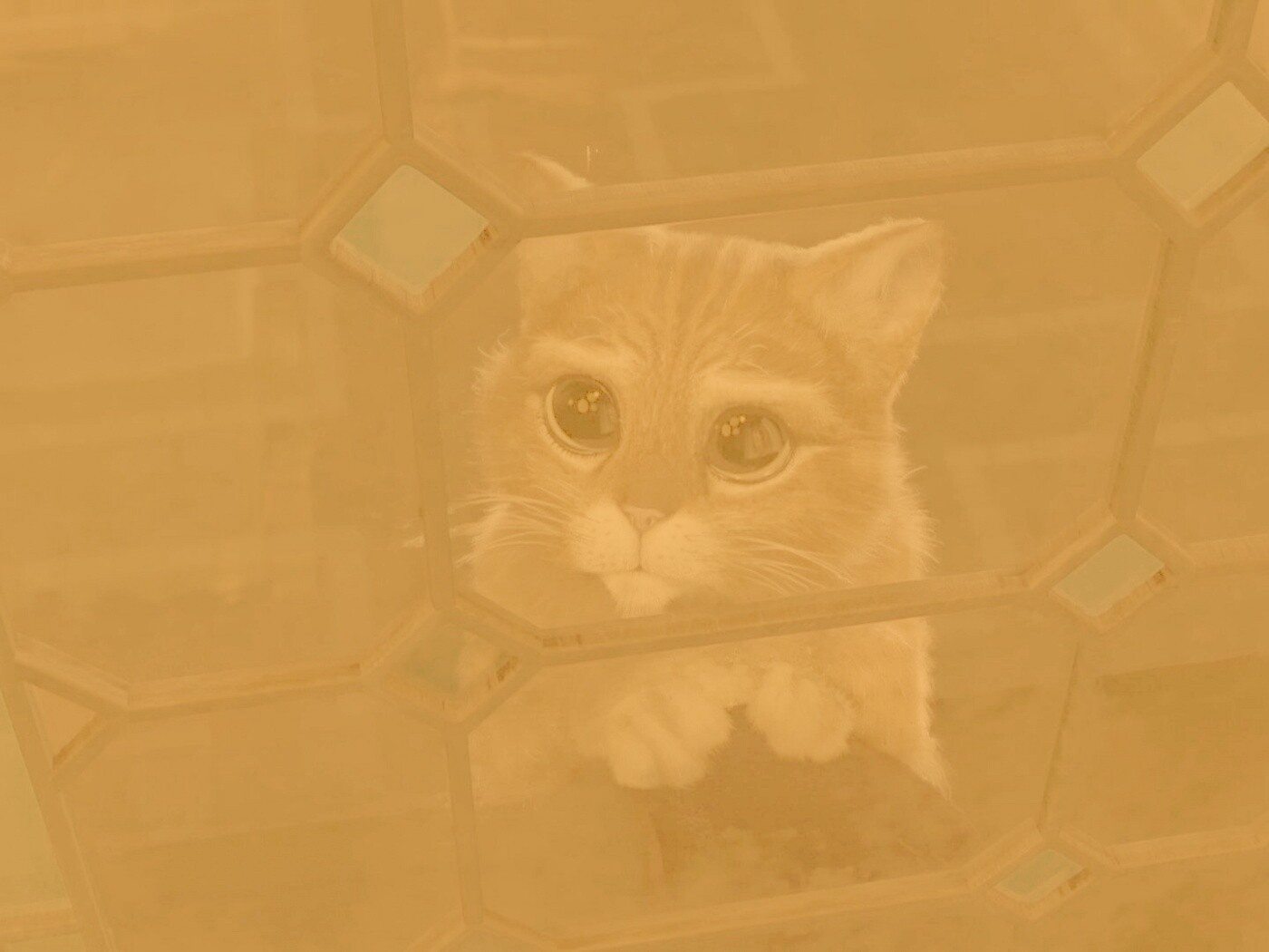 Кот в сапогах обои