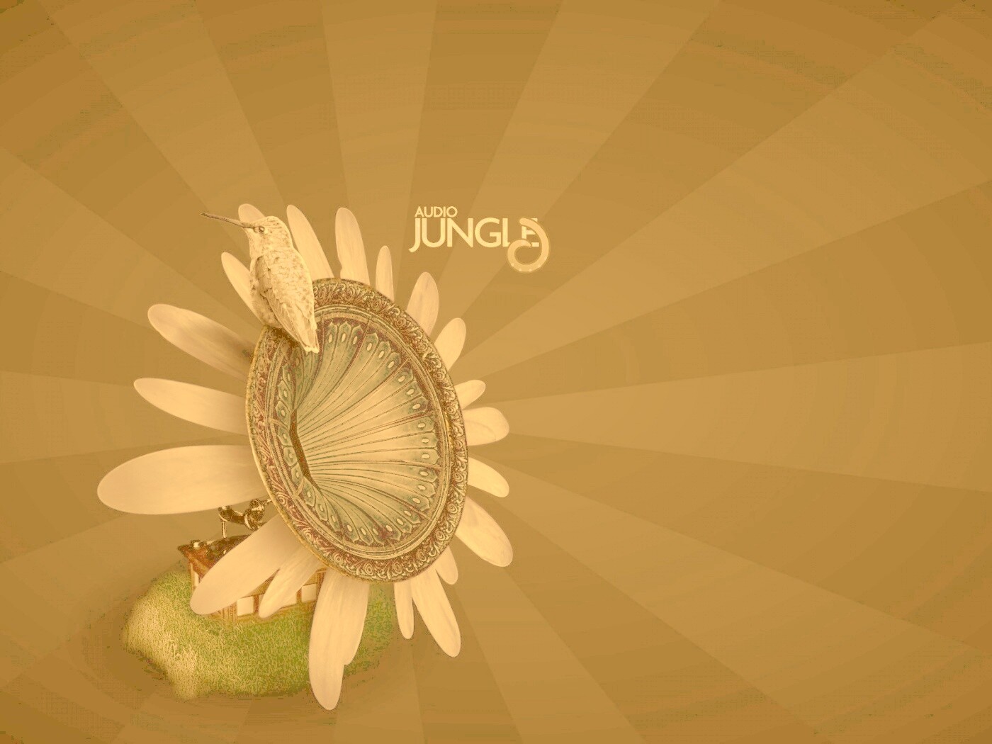 Звуки джунглей обои