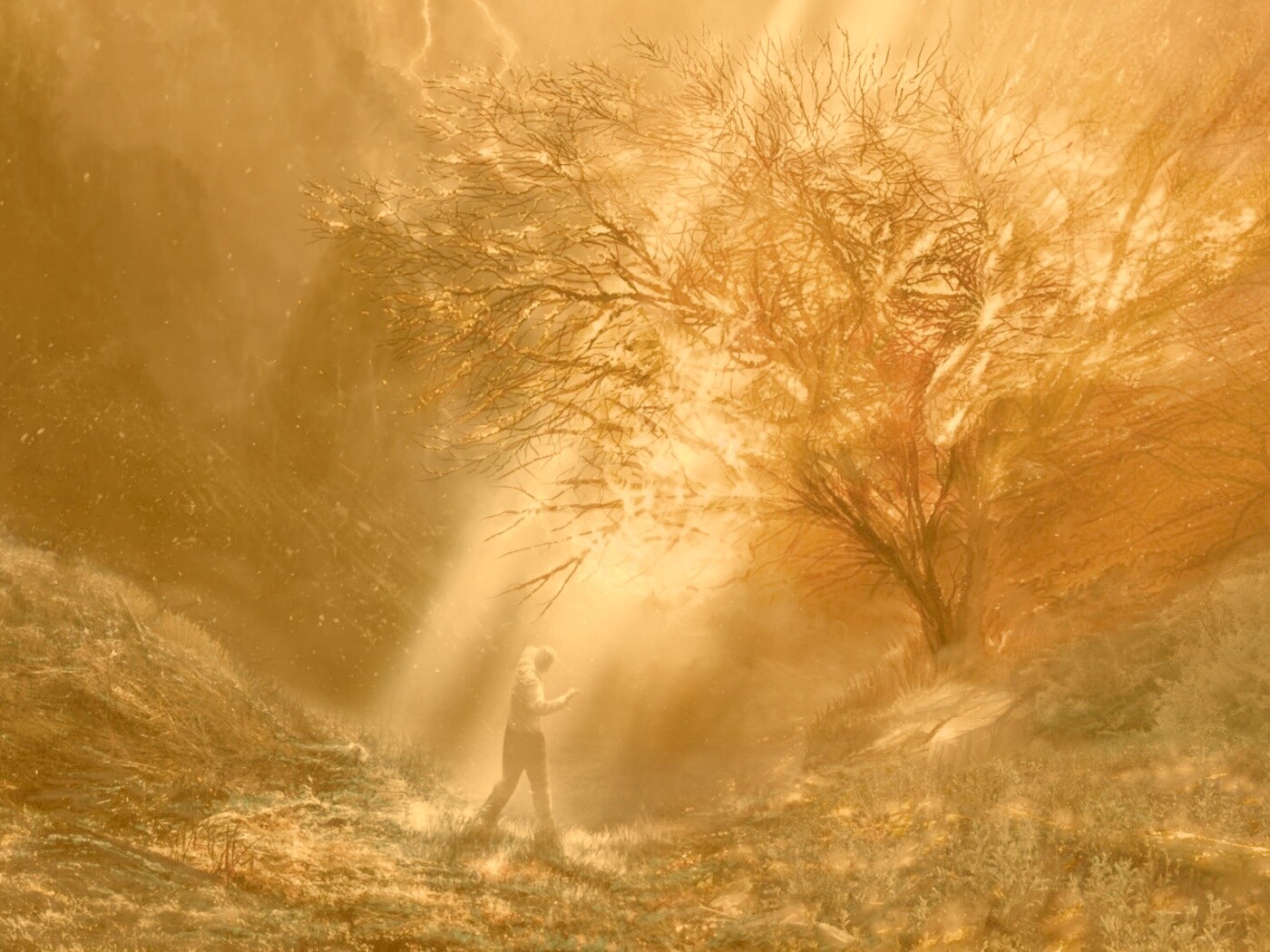 Горящее дерево обои