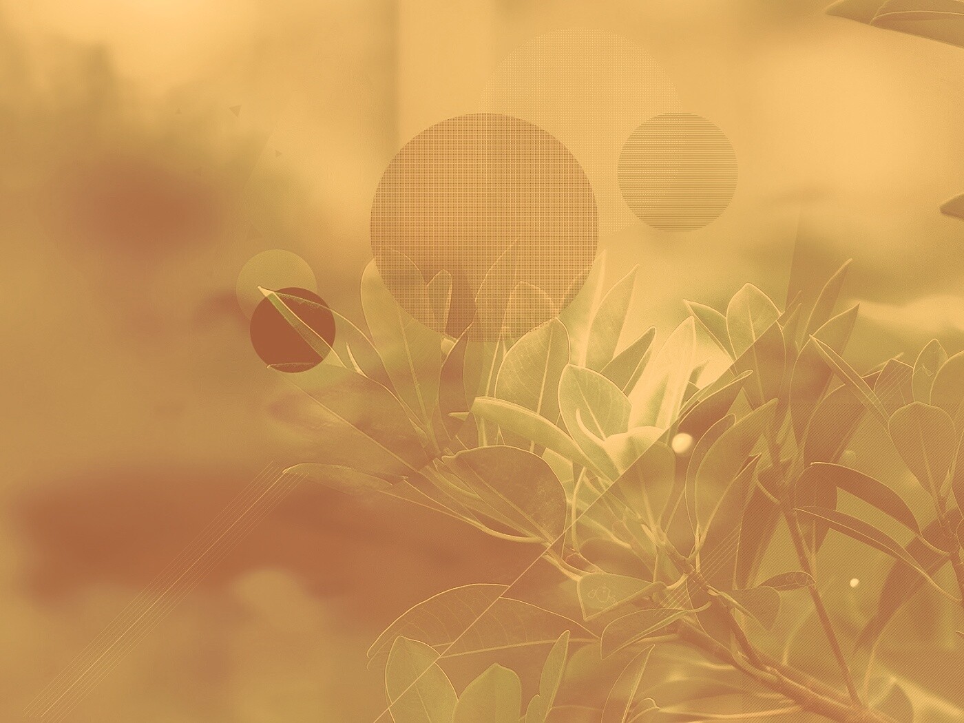 Синий фильтр с кргуами на фото листьев обои