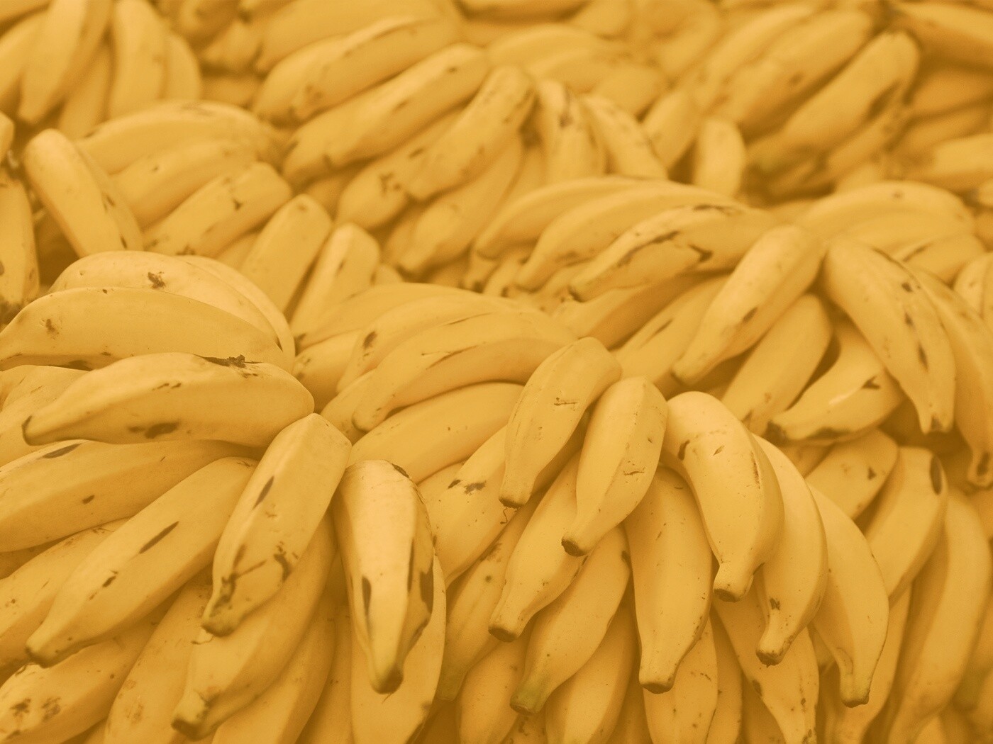 Много бананов обои