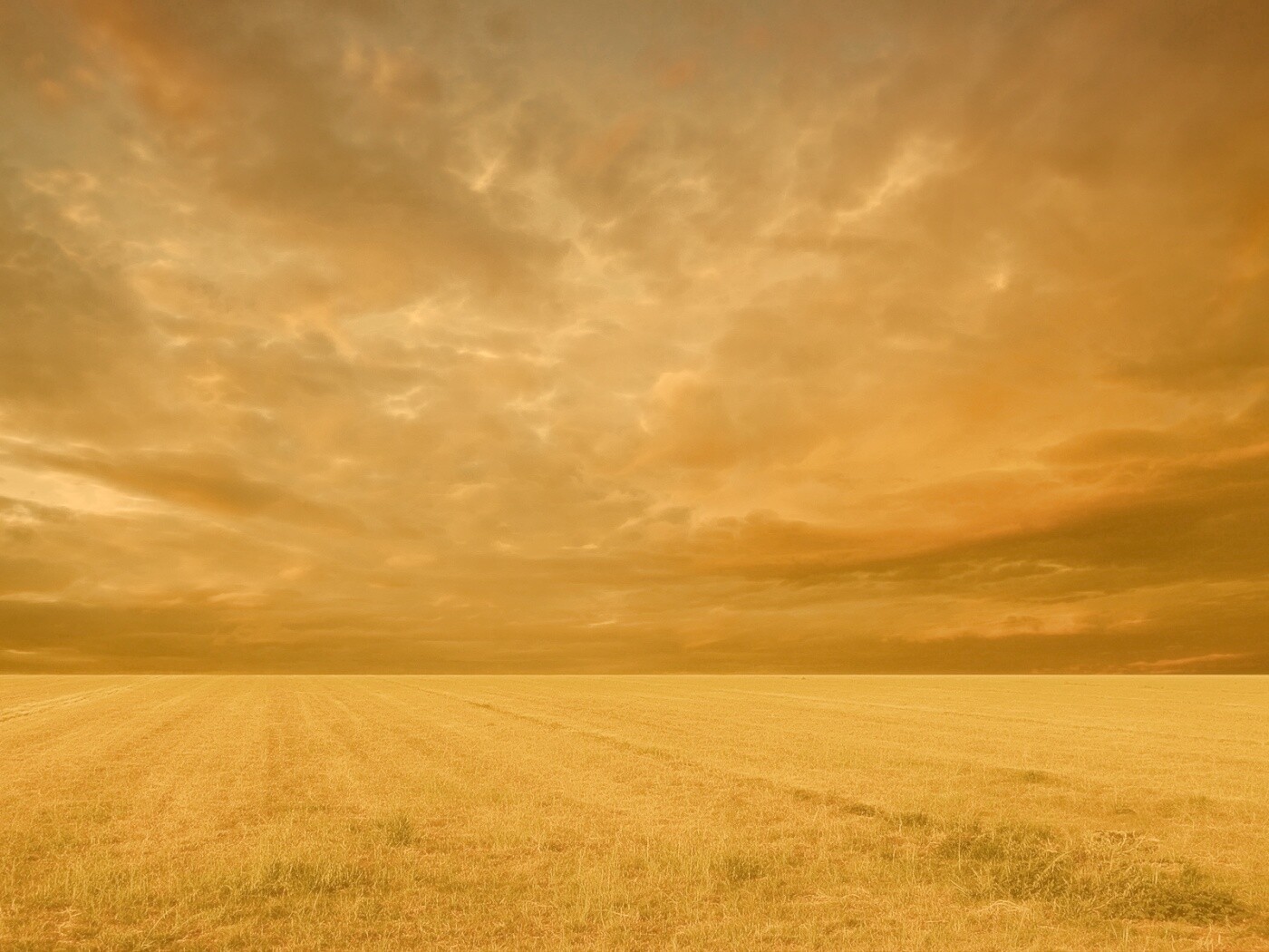 Тучи над желтым полем обои