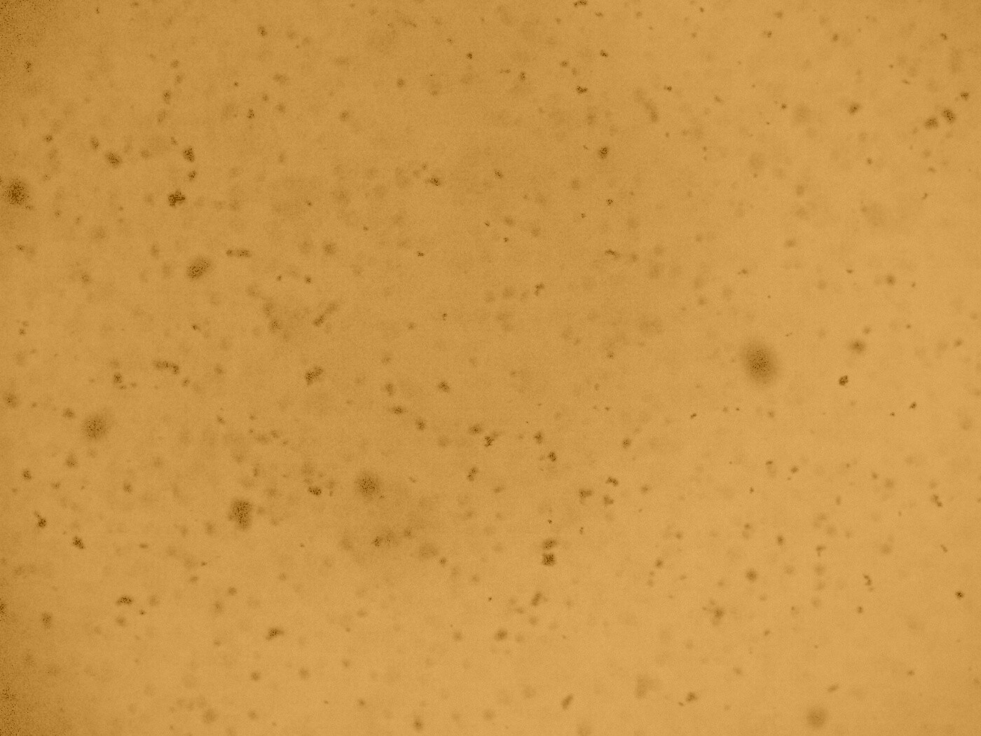 Черные пятна на сером фоне обои