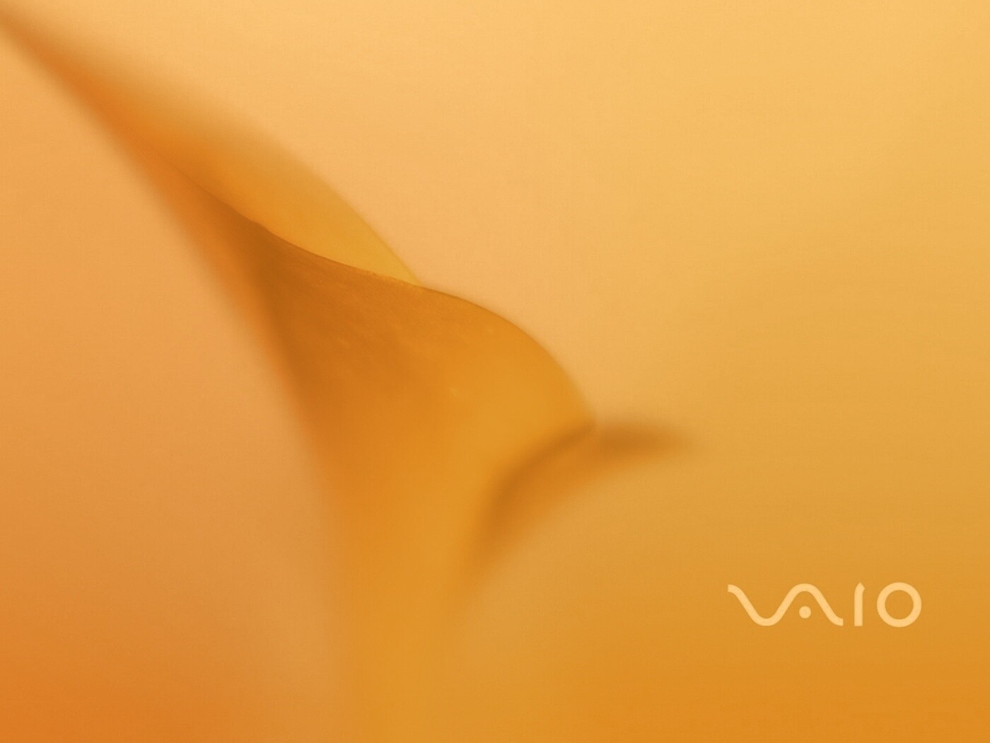 Цветок и логотип Vaio обои