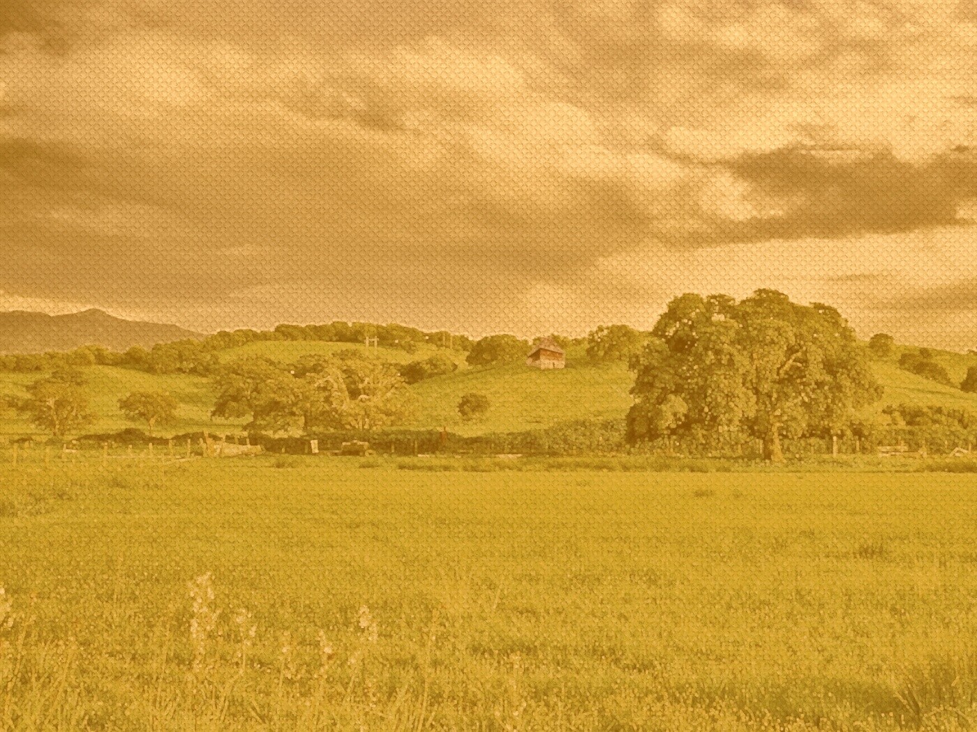 Домик на холмах обои