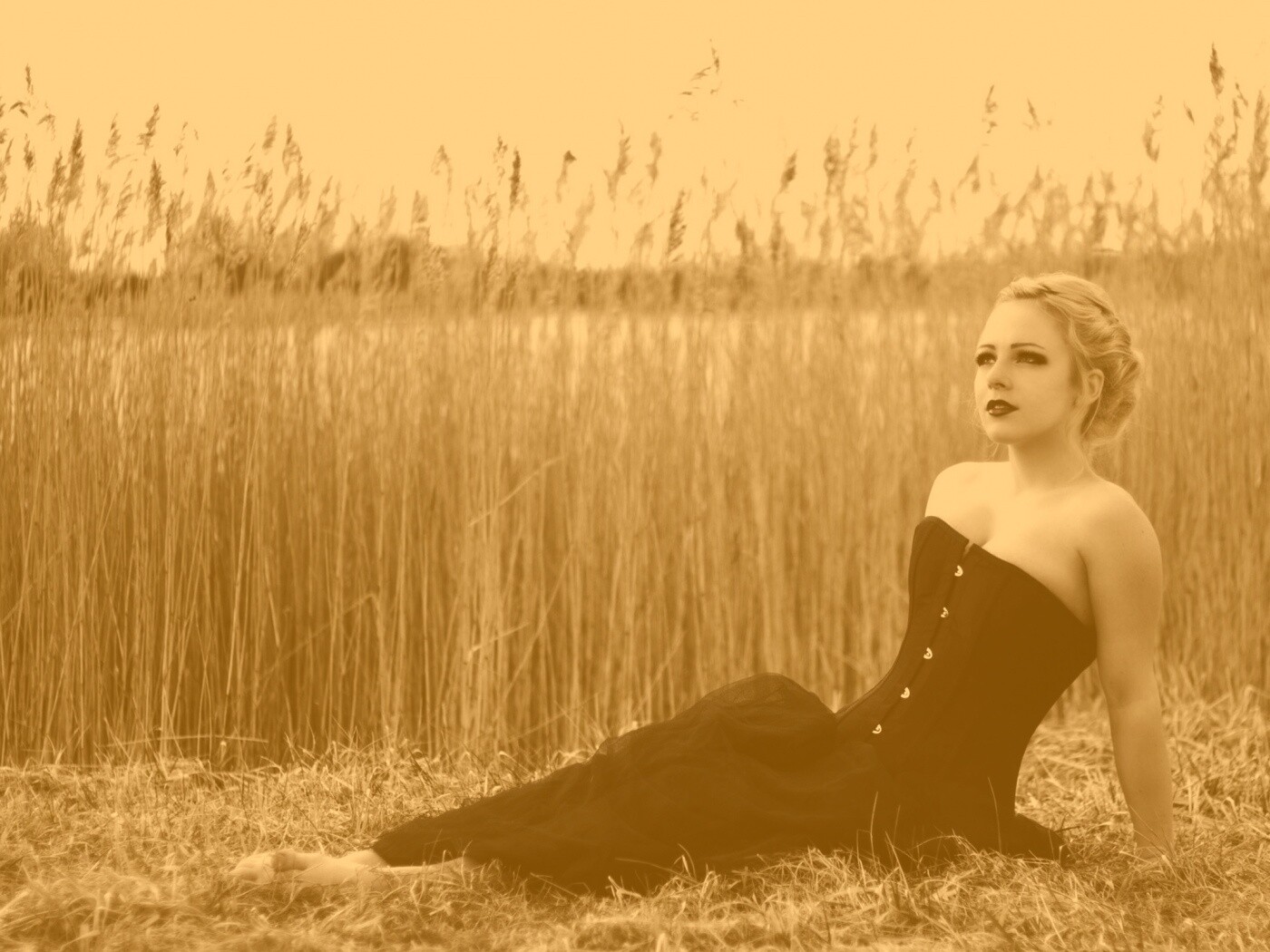 Девушка на траве в черном корсете обои