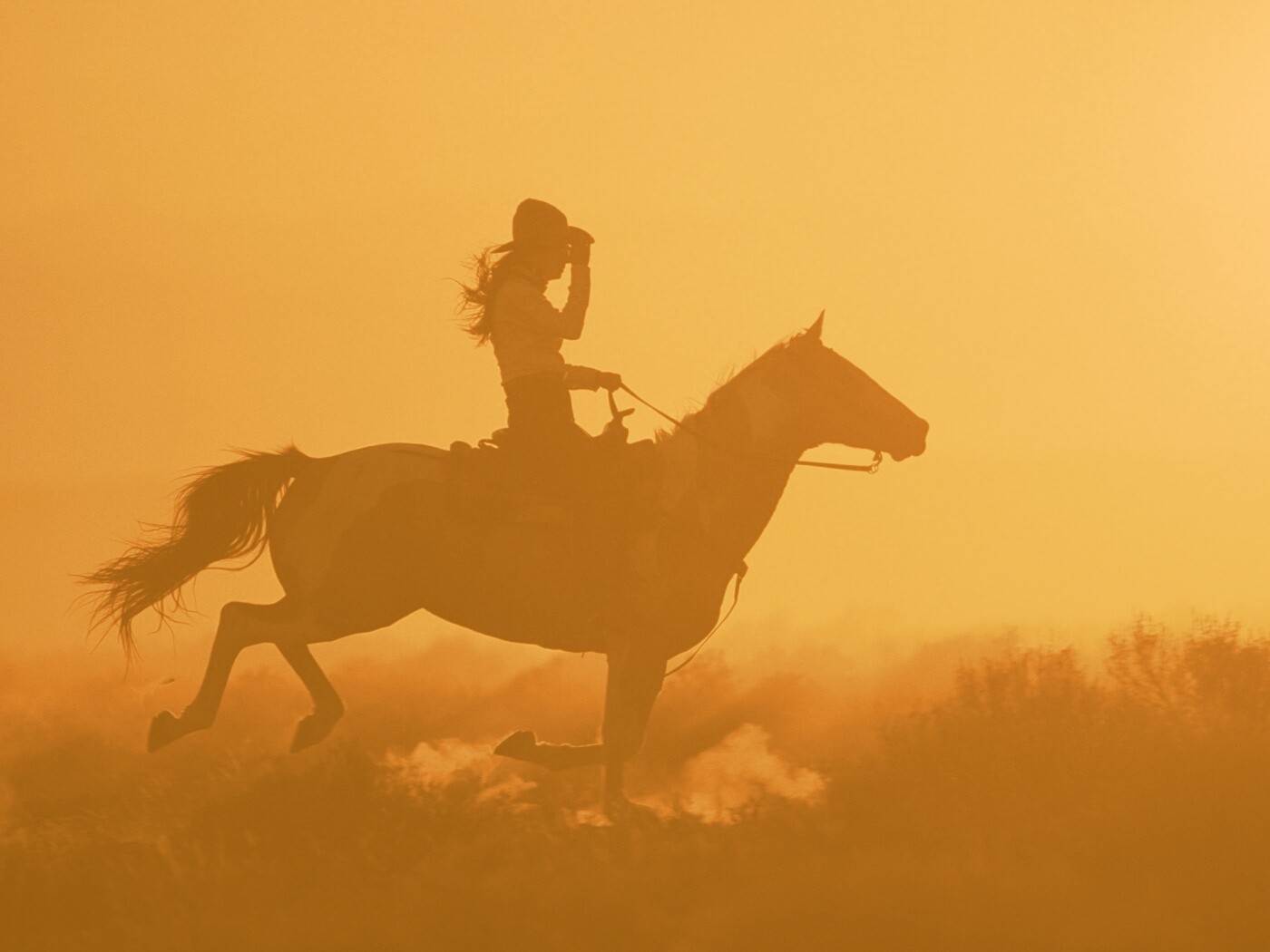 Наездница на закате обои