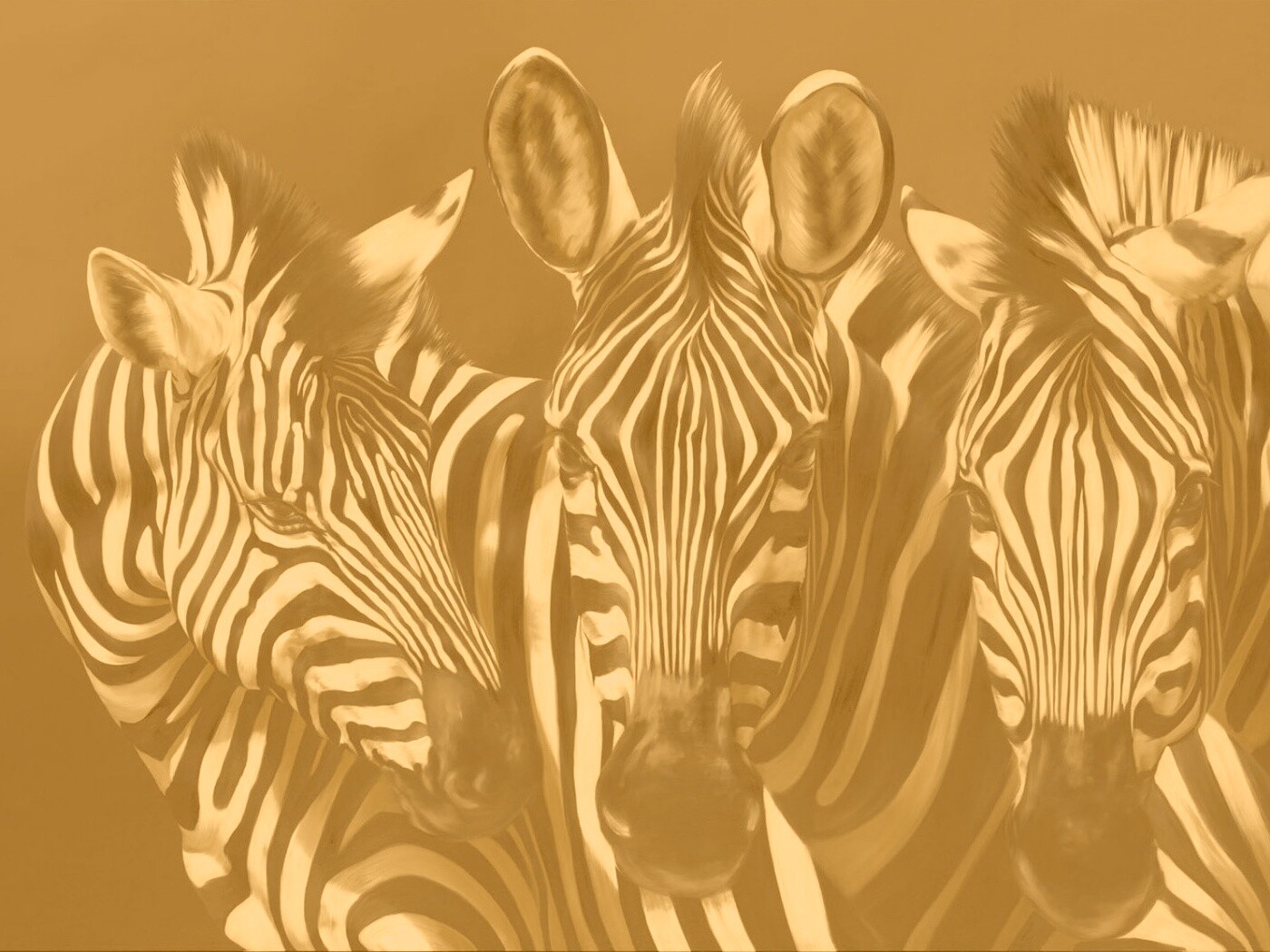 Нарисованные зебры обои