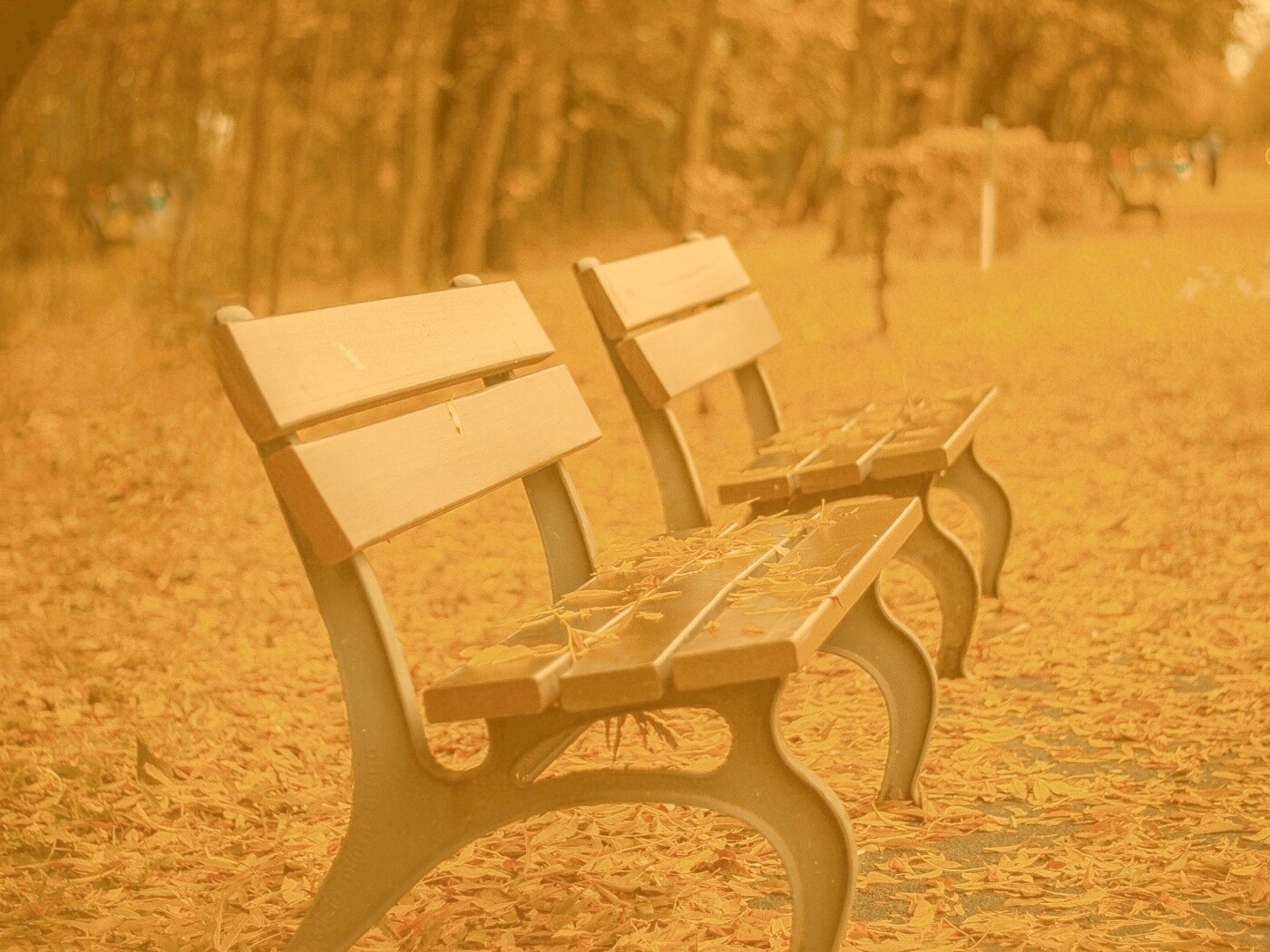 Лавочки в осеннем парке обои