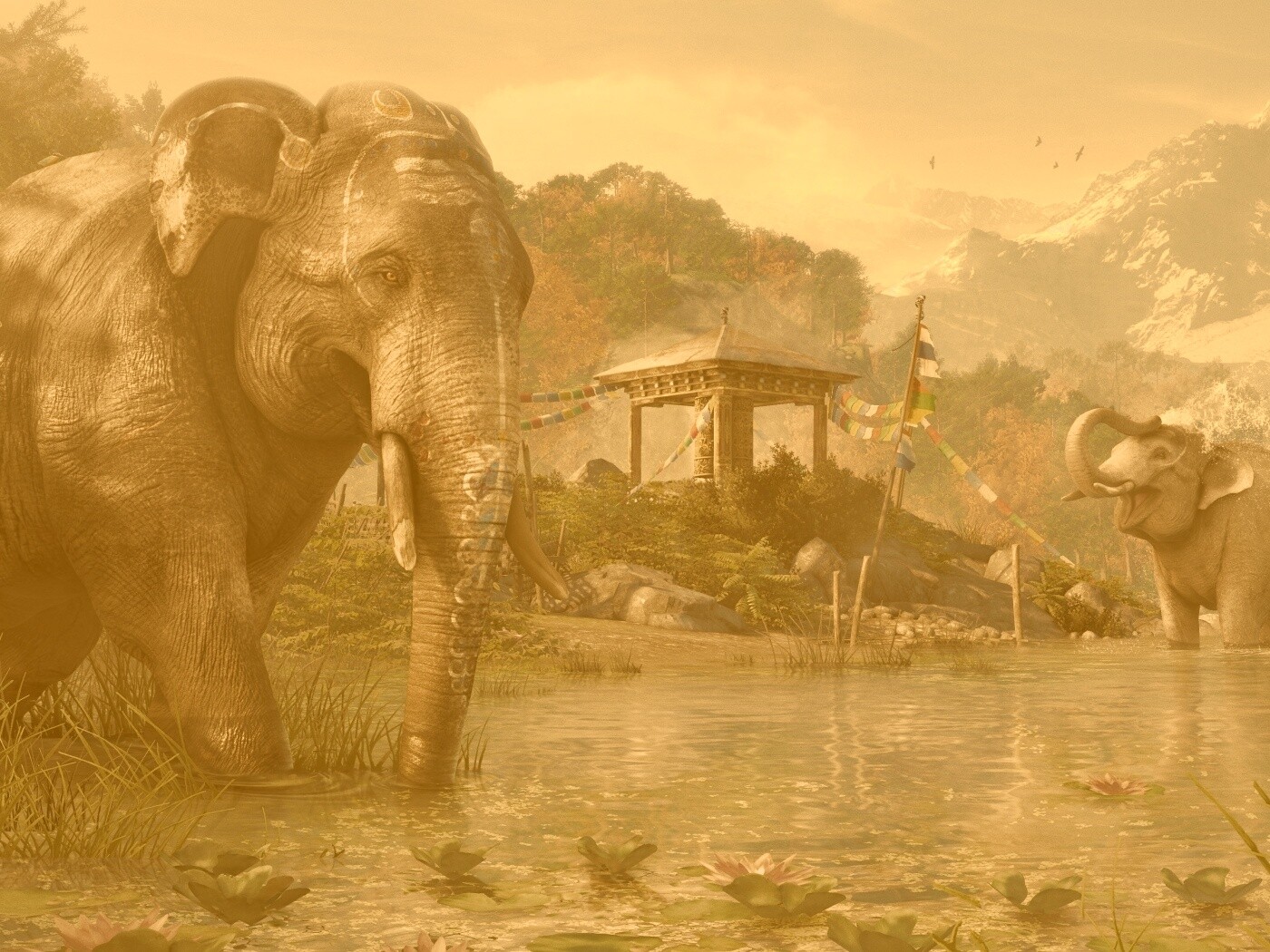 Слоники у воды обои