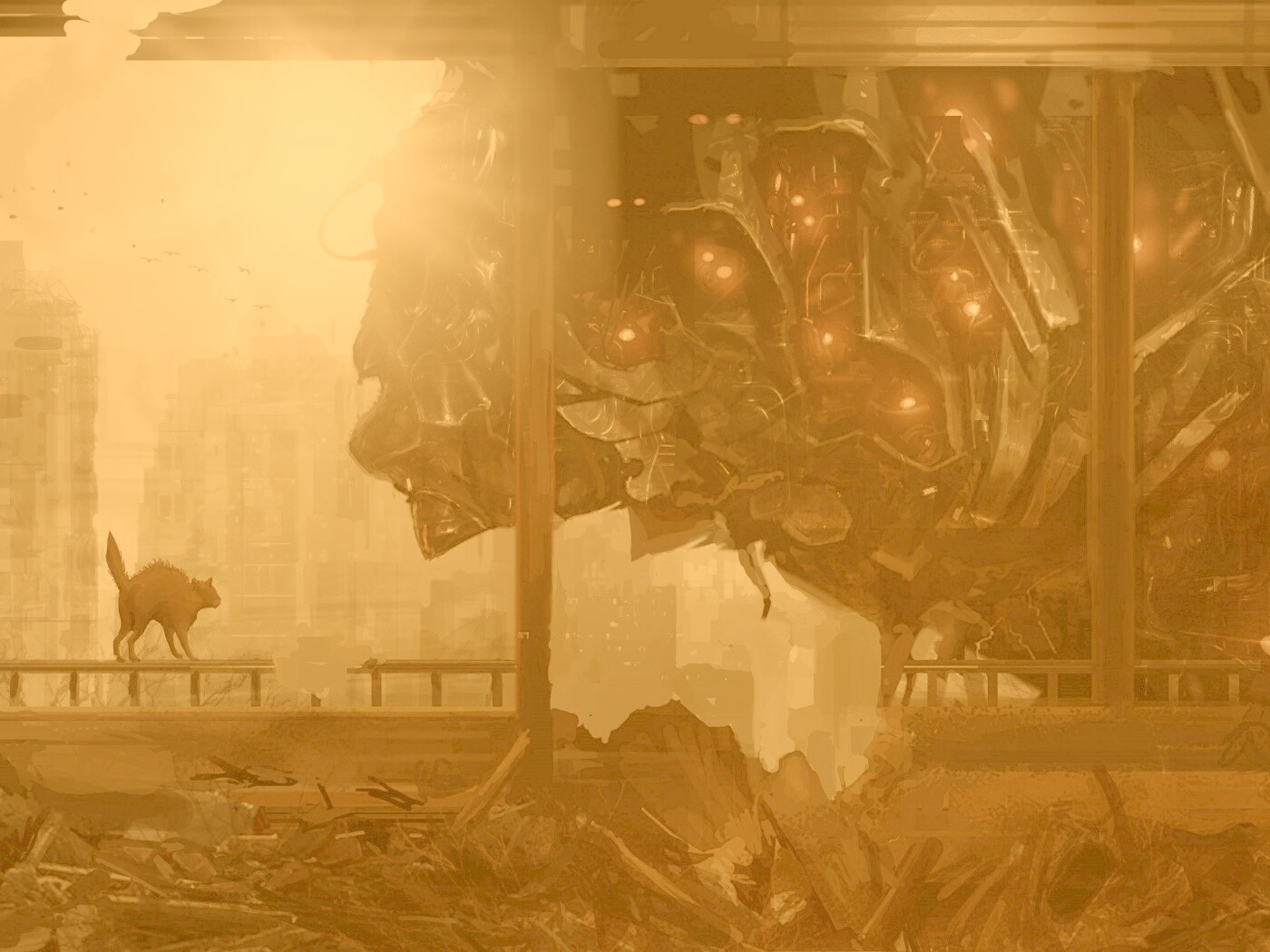 Кошкино удивление обои