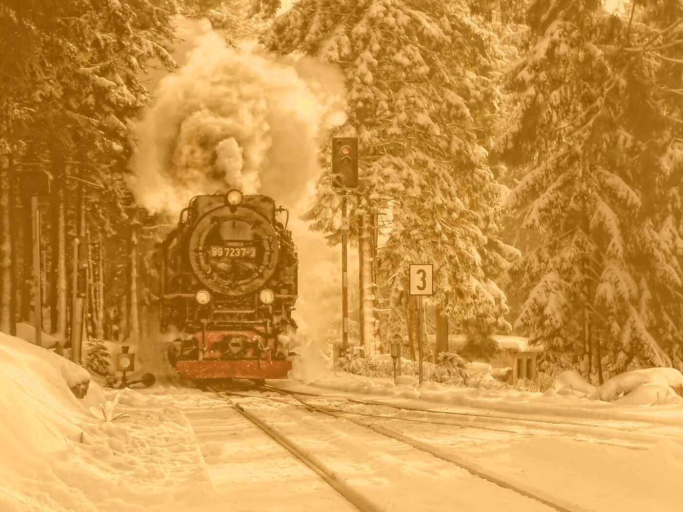 Паровоз в димнем лесу обои