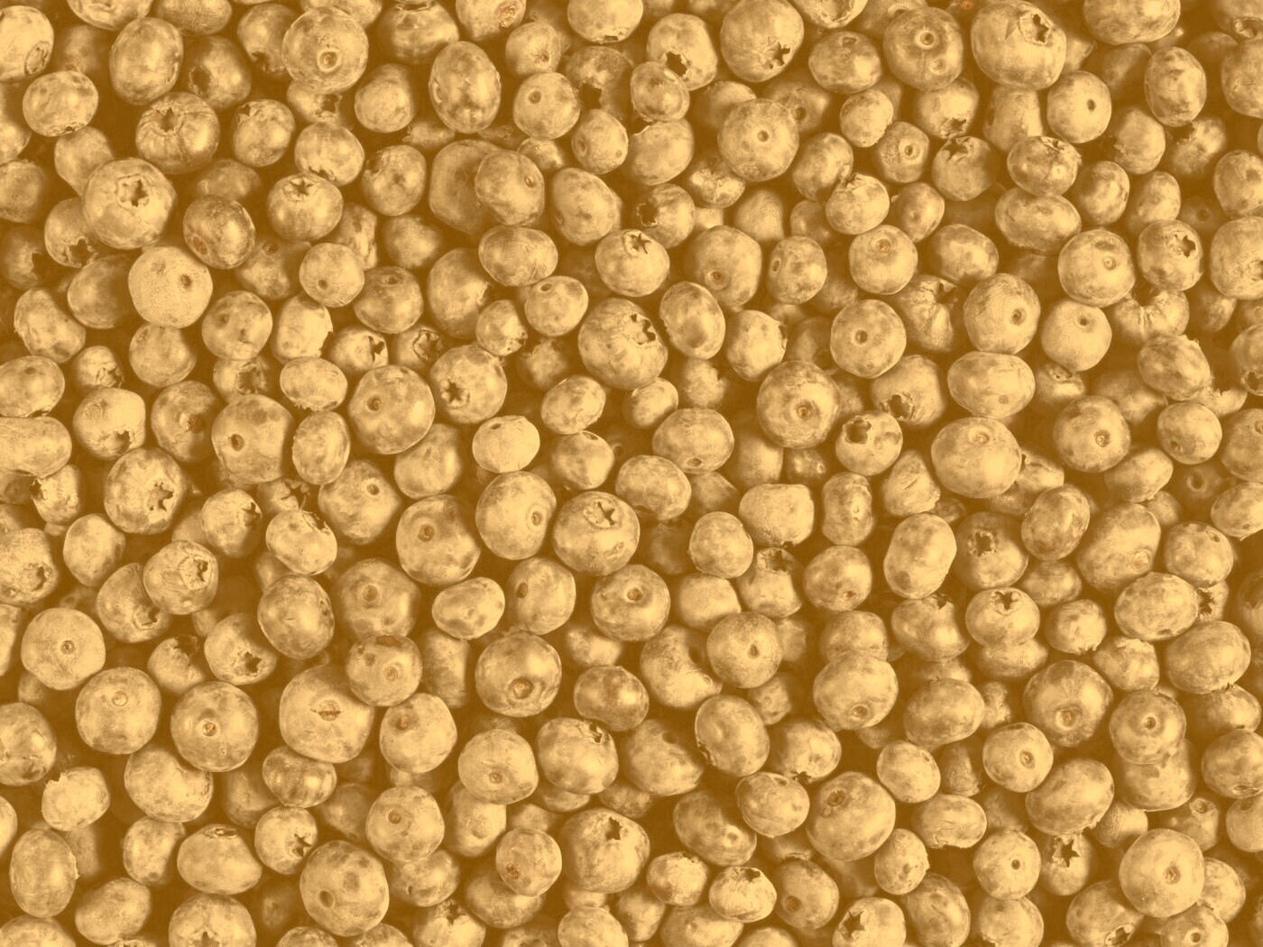 Черника обои