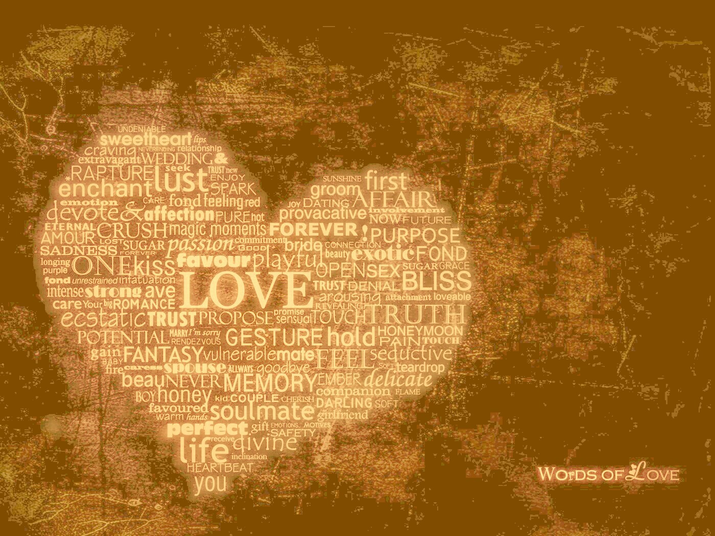 Слова любви обои
