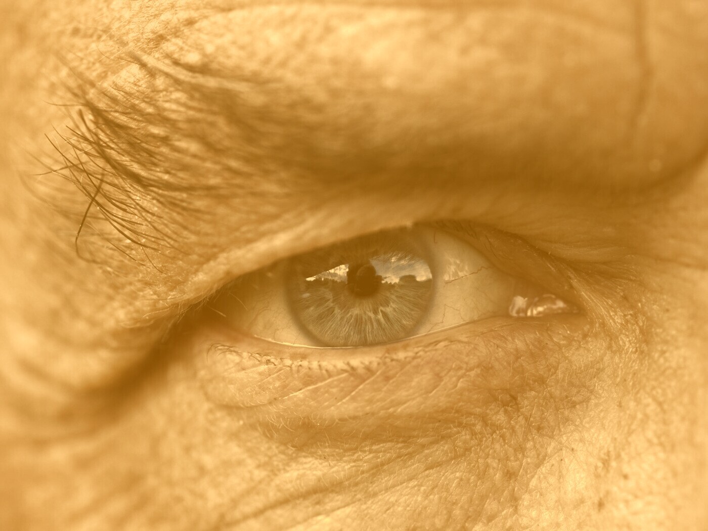 Глаз пожилого человека обои