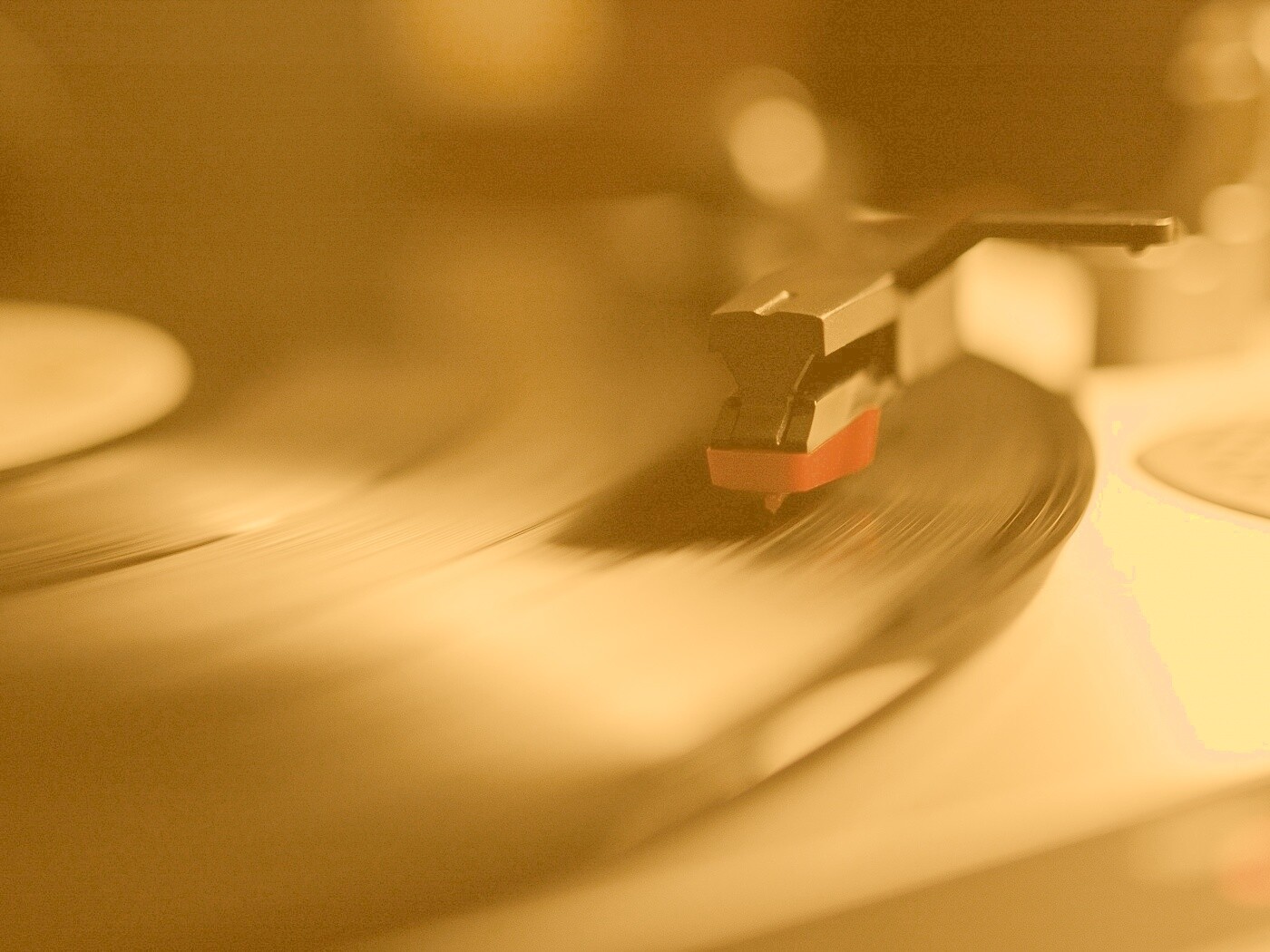 Пластинка обои