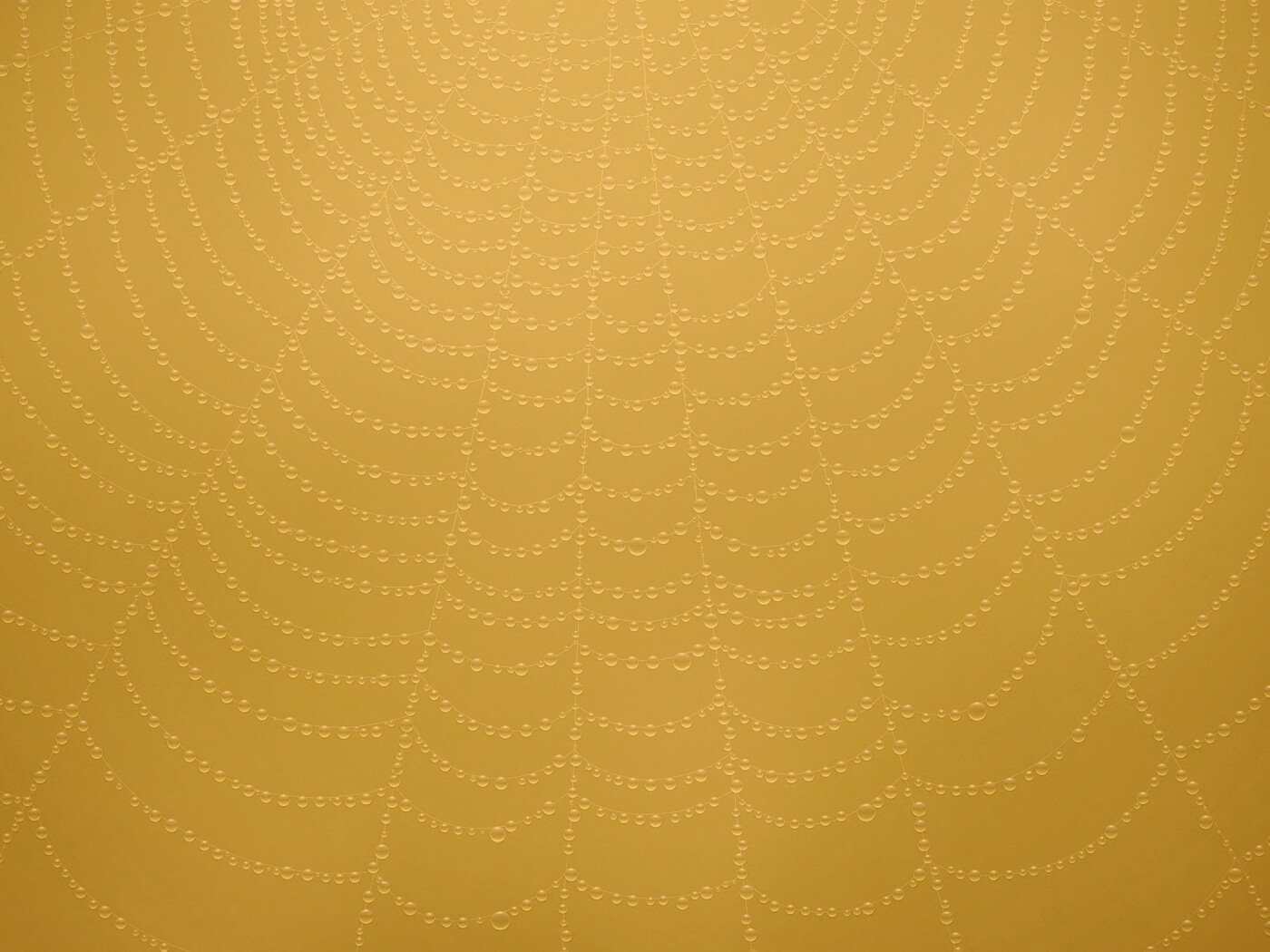 Роса на паутине обои