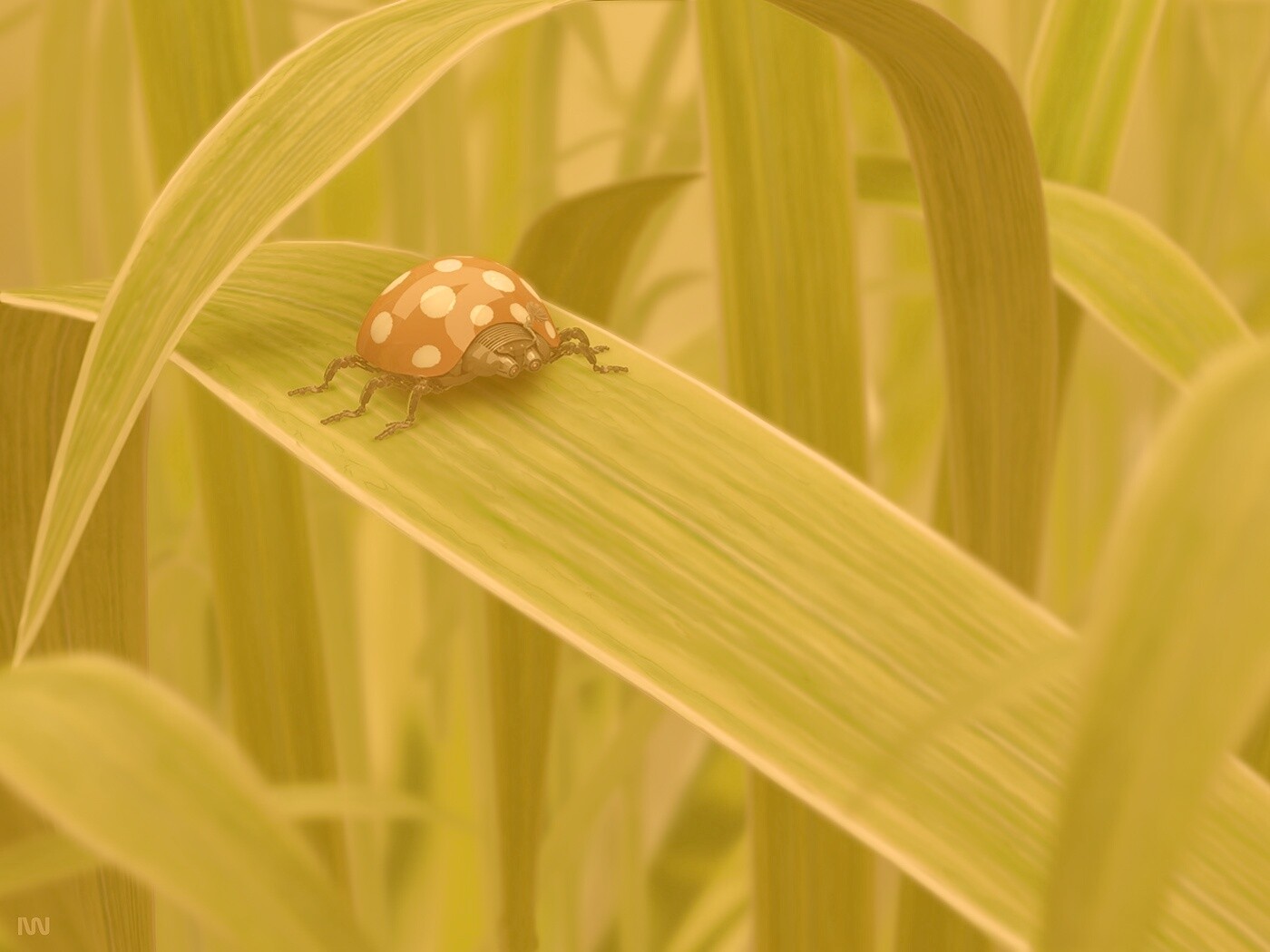 Милая божья коровка робот обои