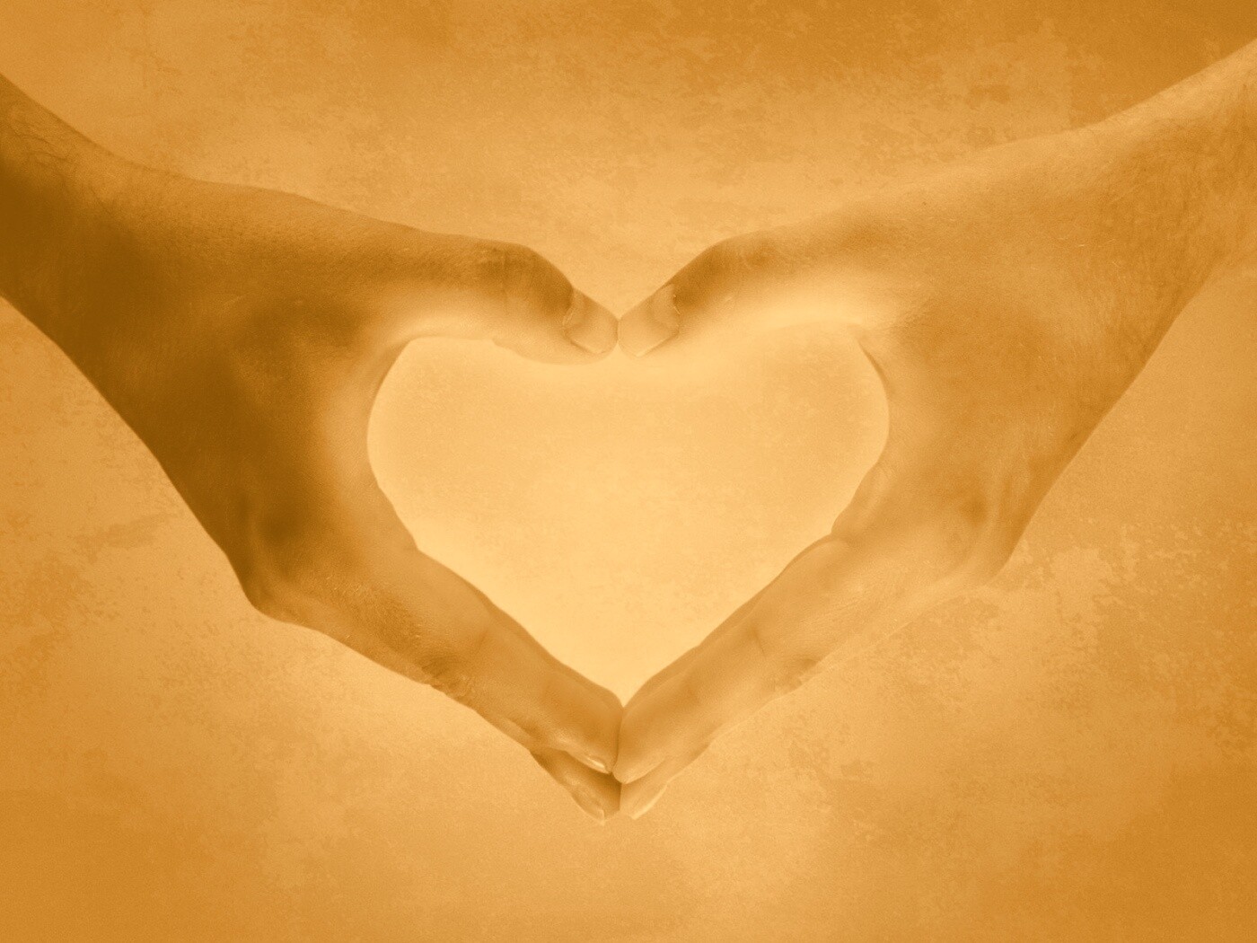 Сердце из сложенных рук обои