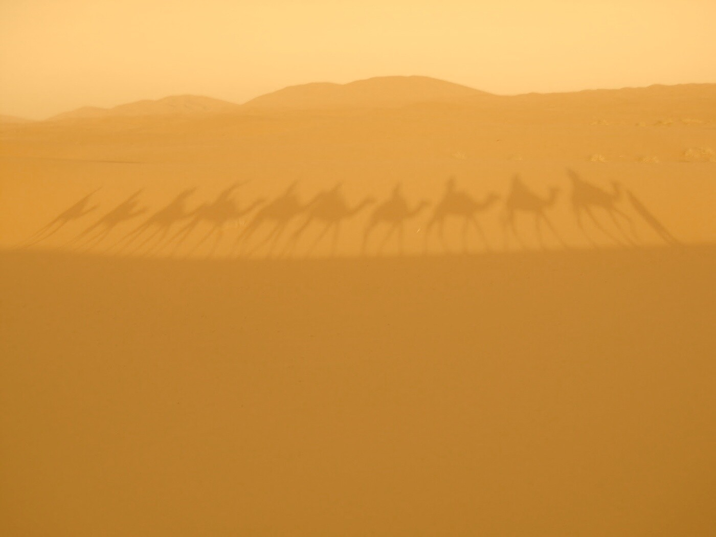 Караван обои