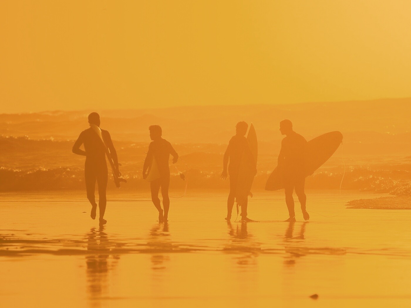 Серфингисты обои