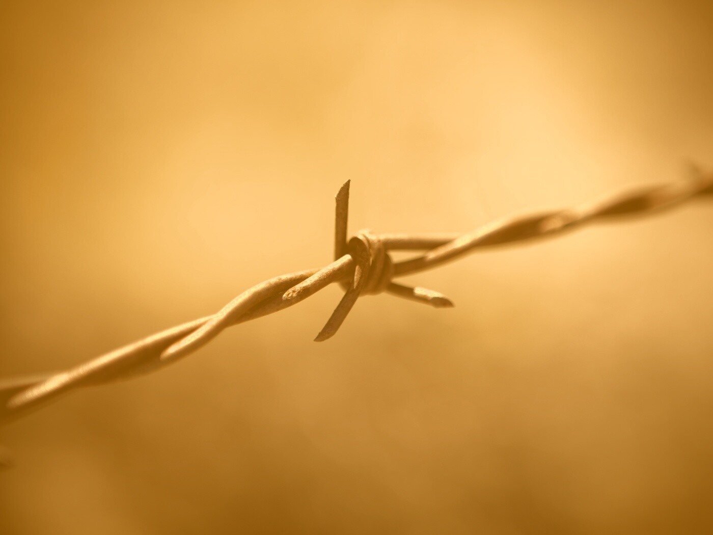 Фото колючей проволоки обои