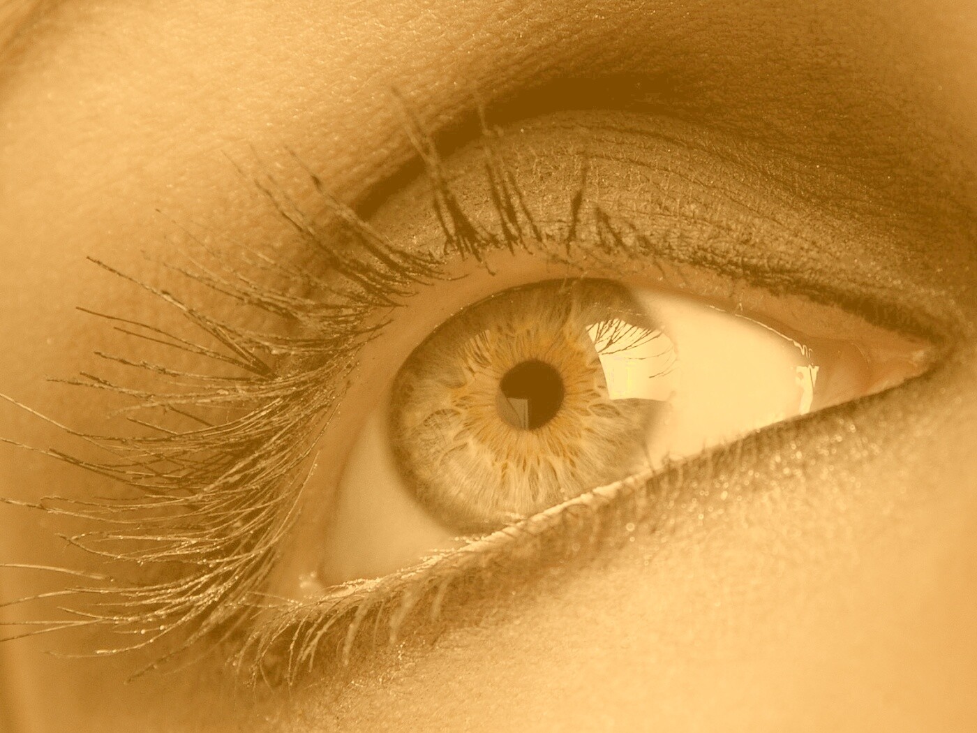 Оранжевый глаз обои