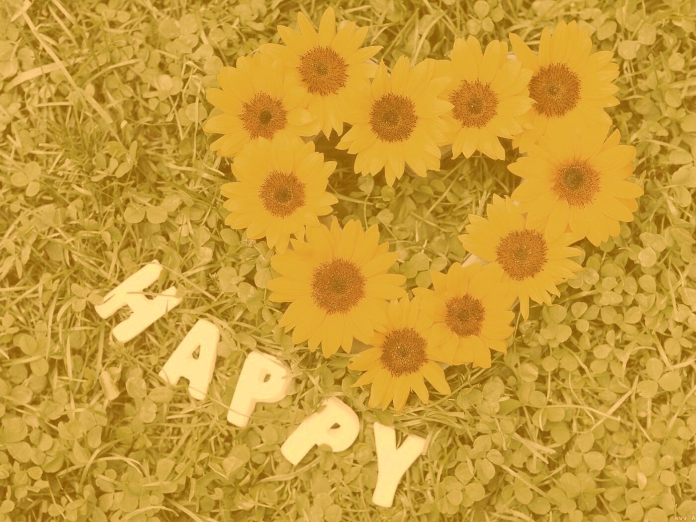 Радость обои