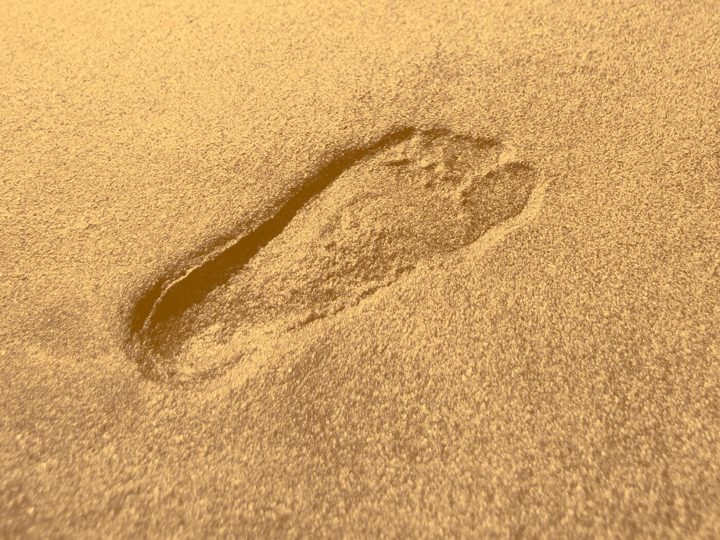 Отпечаток ноги обои