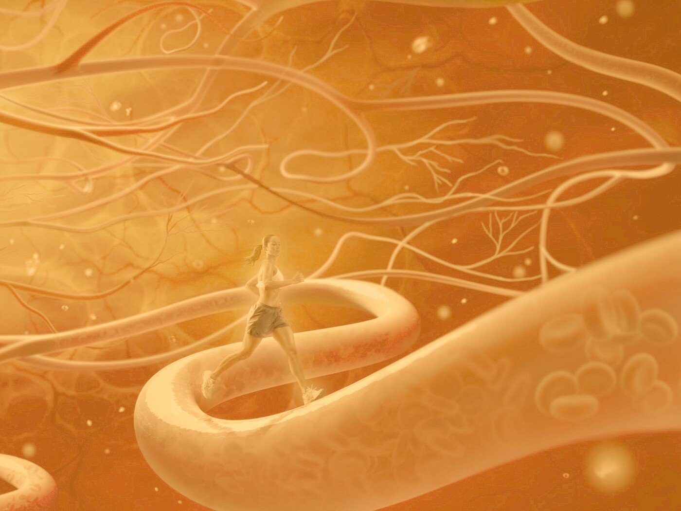 Бег крови обои