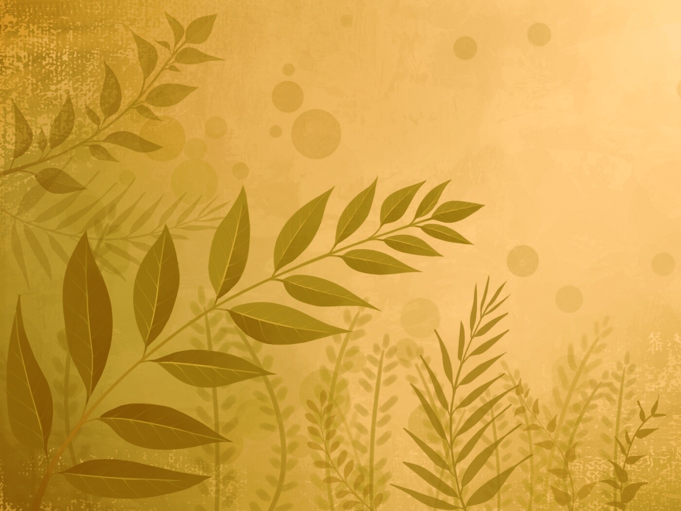 Веточка молодых листьев обои