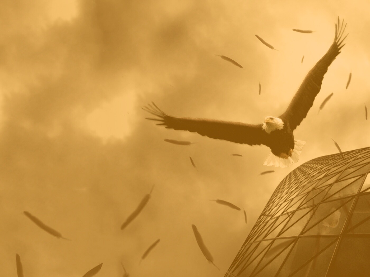 Орлиный полет обои