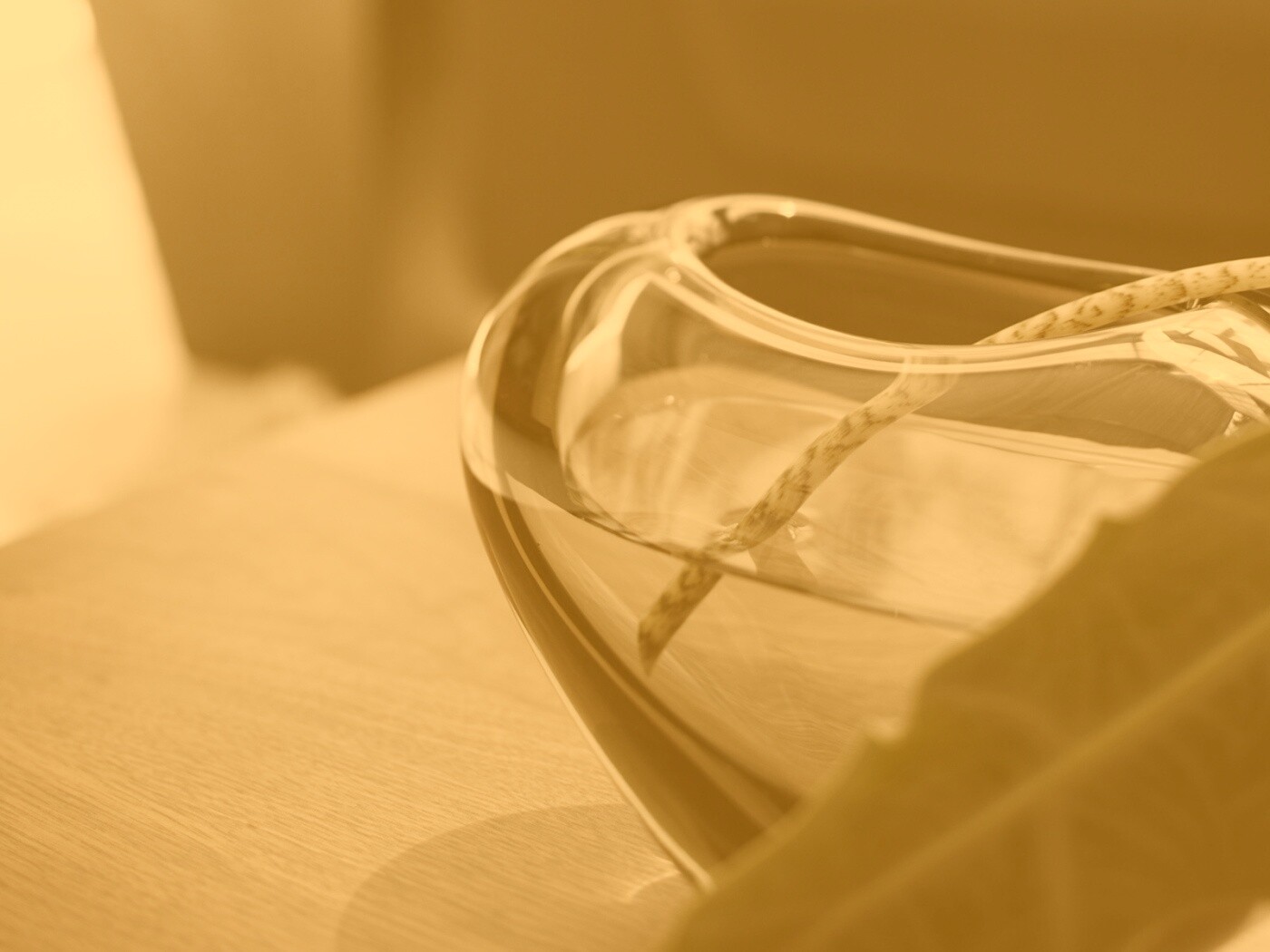 Ваза с листом обои