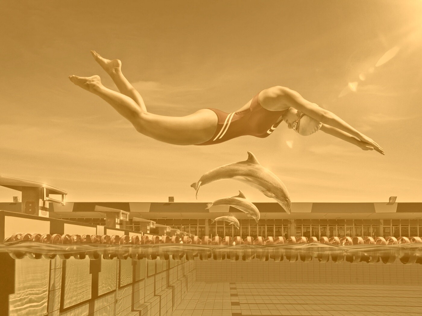 Соревнование обои