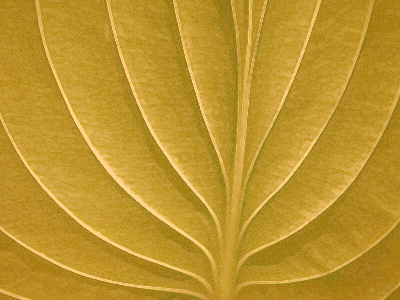 Неоновый лист обои