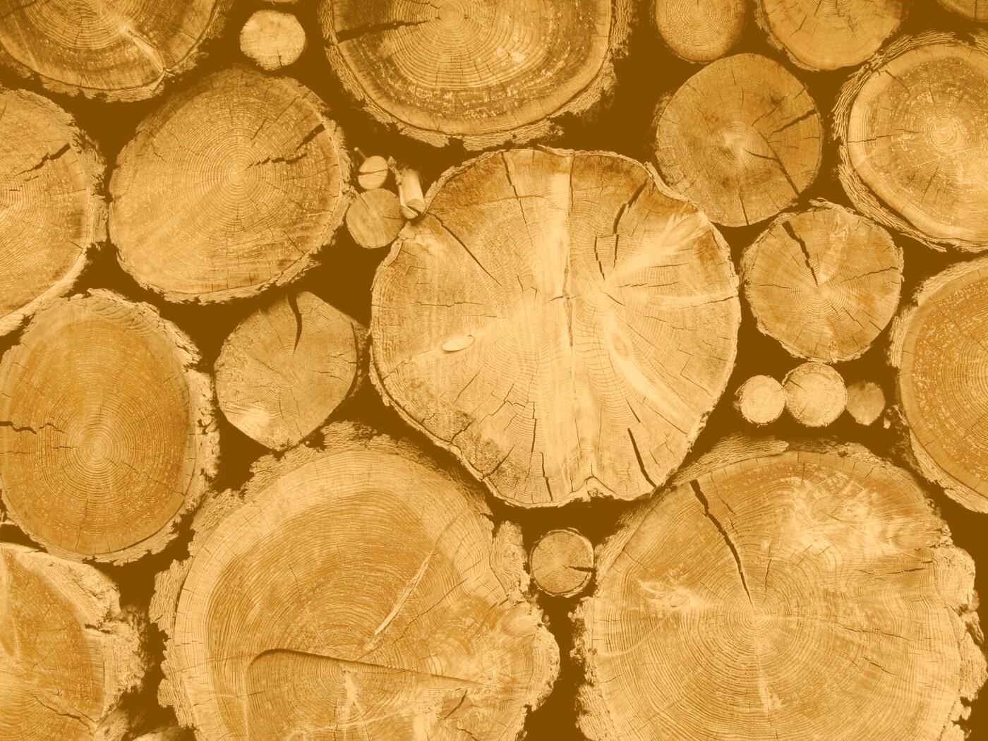 Древесный спил обои