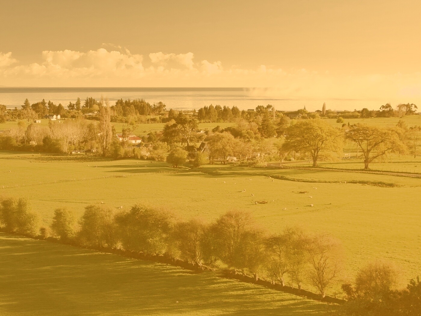 Сельская природа обои