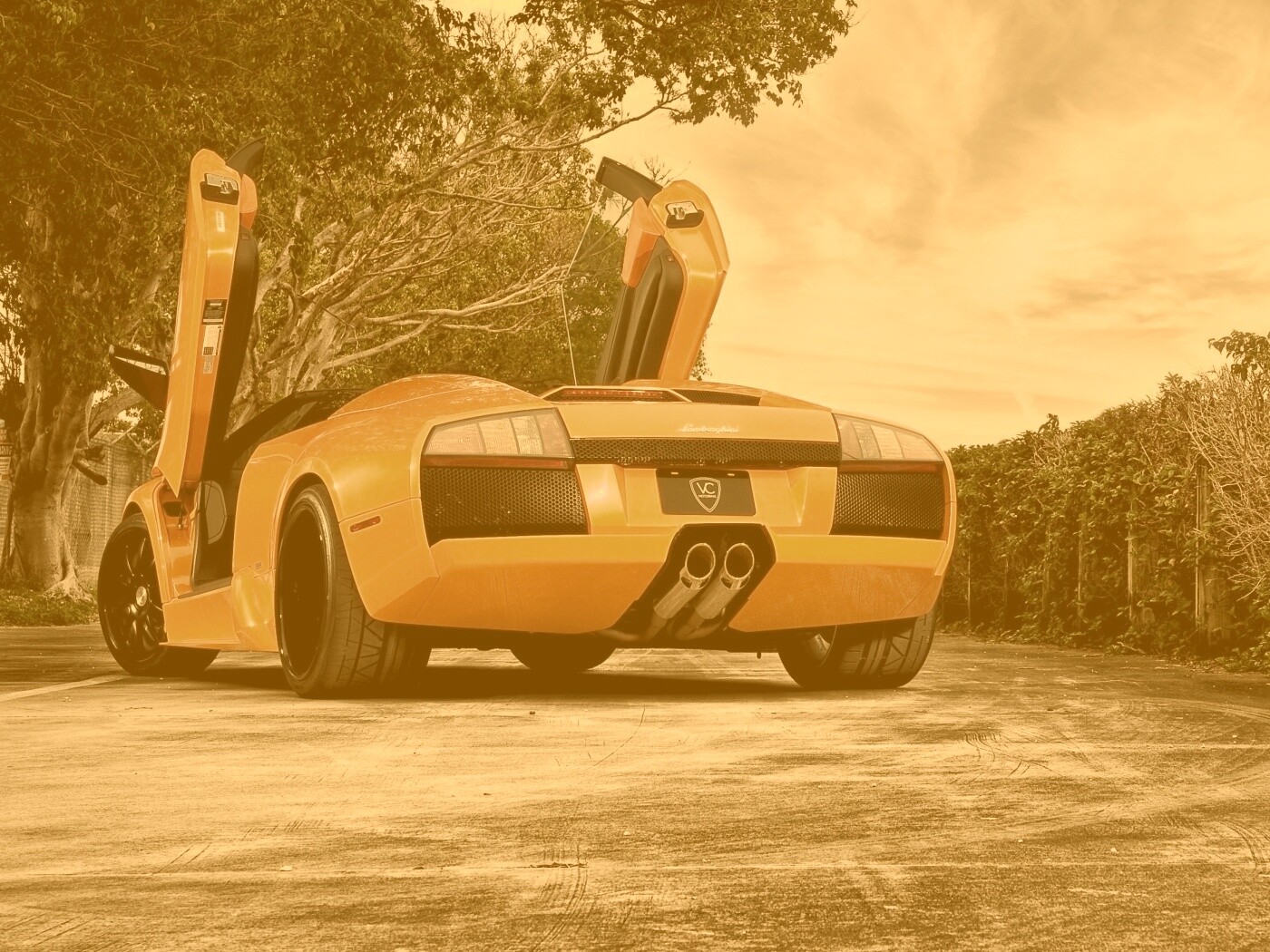 Оранжевая Мюрселаго обои