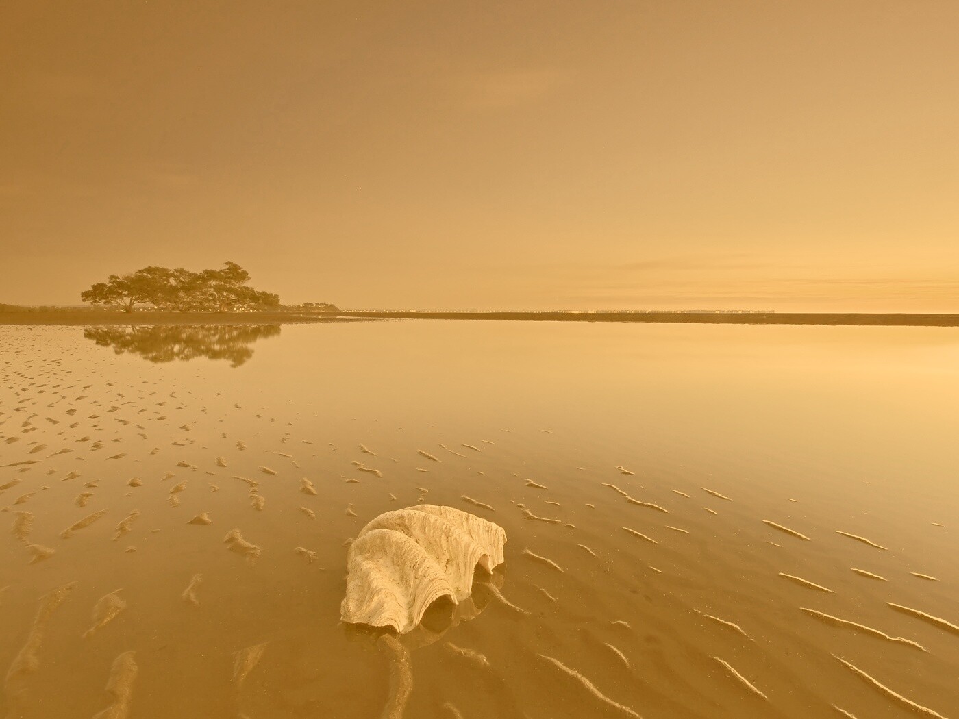 Закат на берегу моря обои