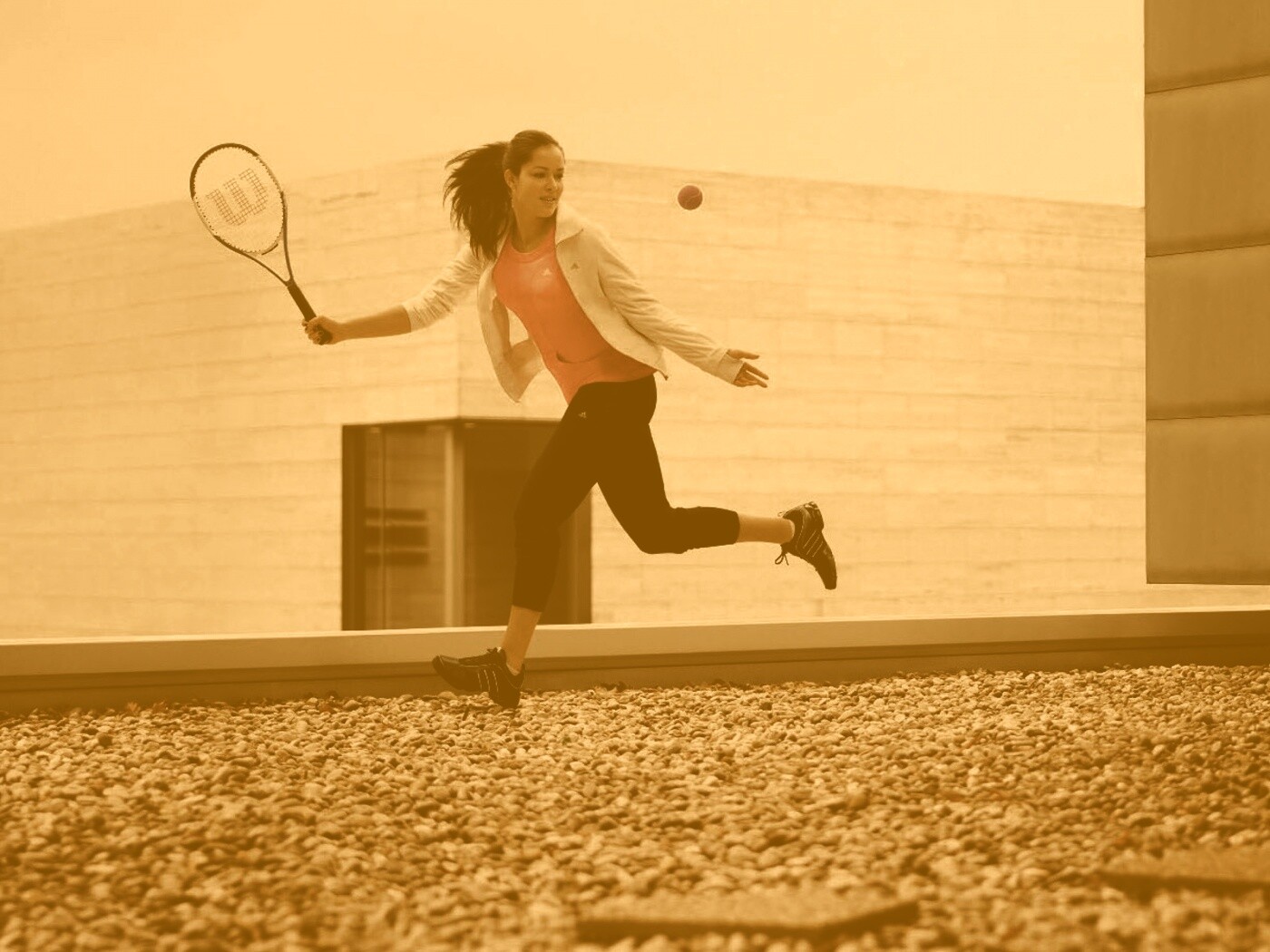 Анна Иванович обои