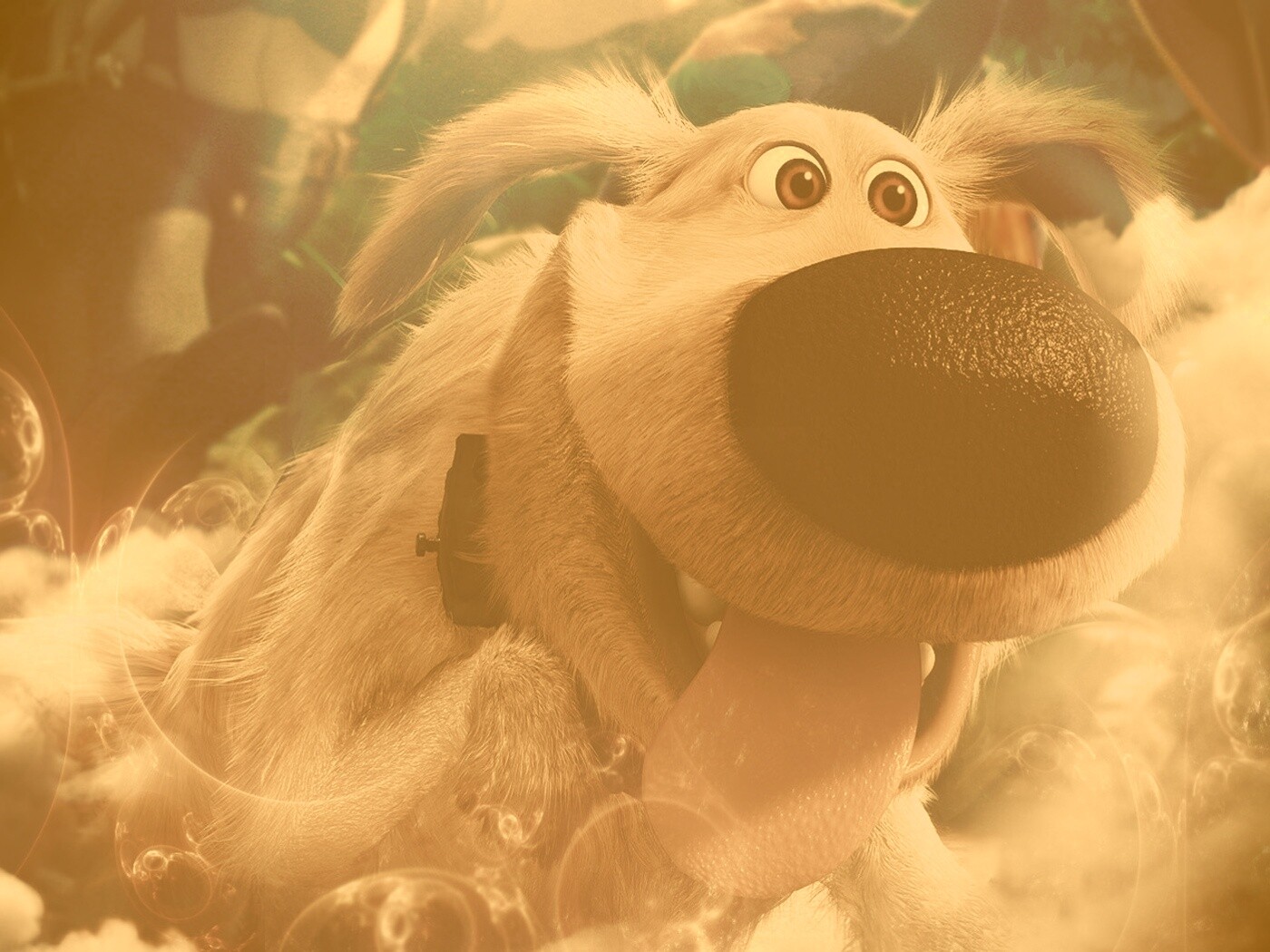 Собака из мультфильма Up обои