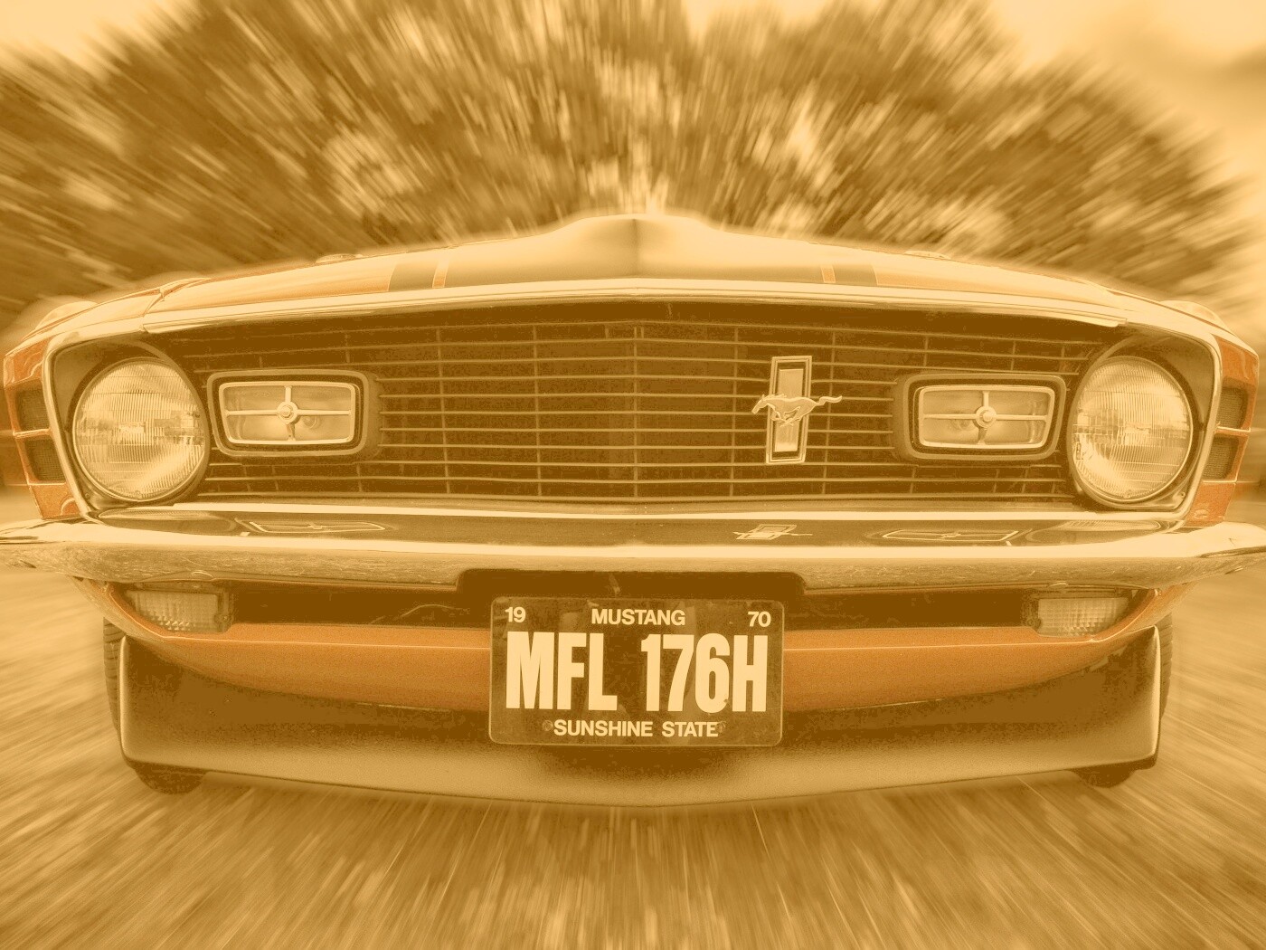 Мустанг обои