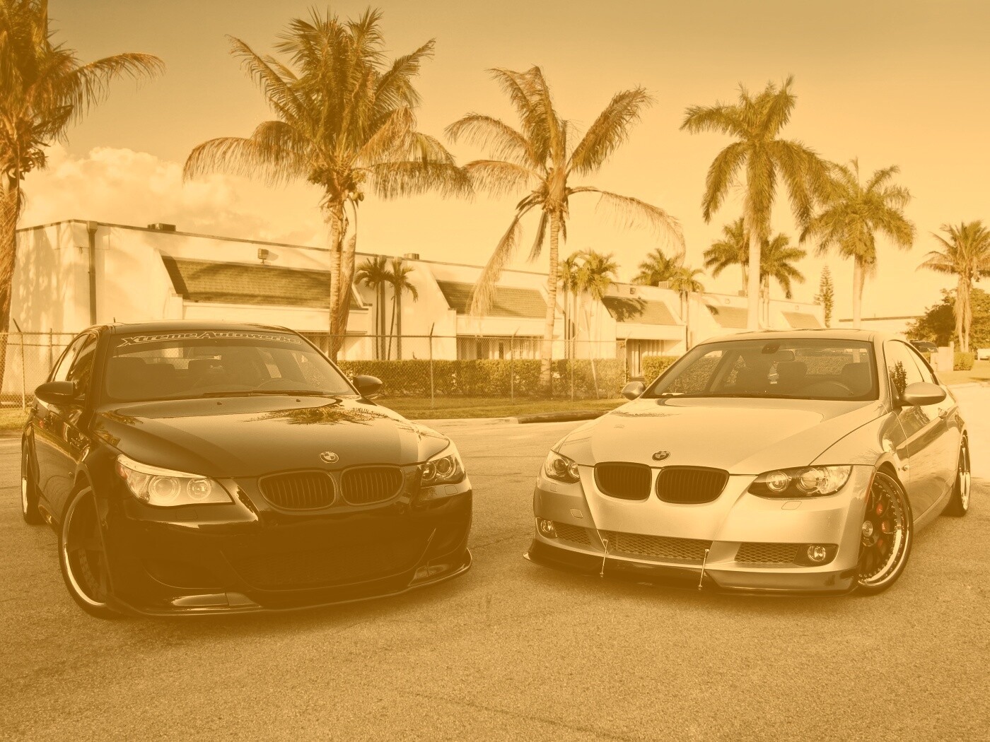 Две БМВ обои