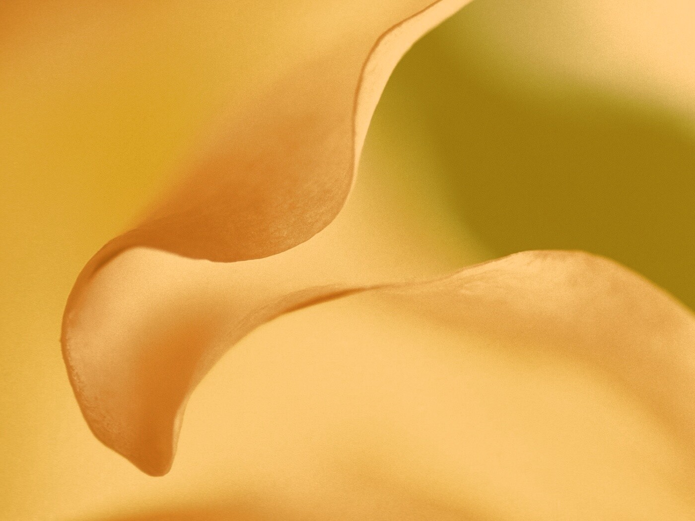 Оттенки природы обои