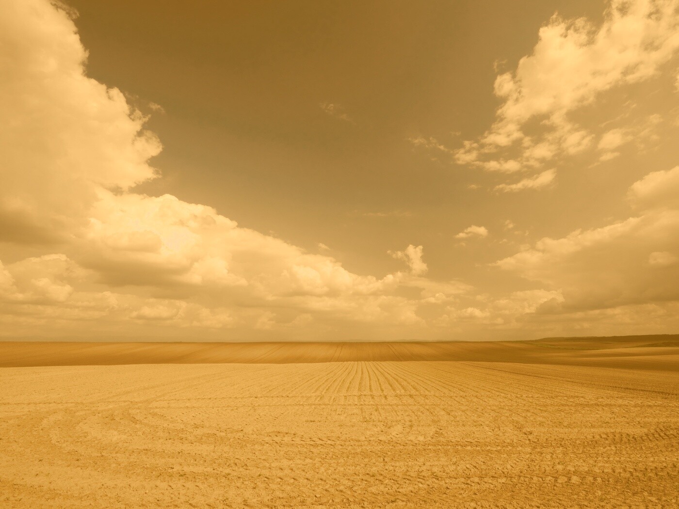 Незасеянное поле обои