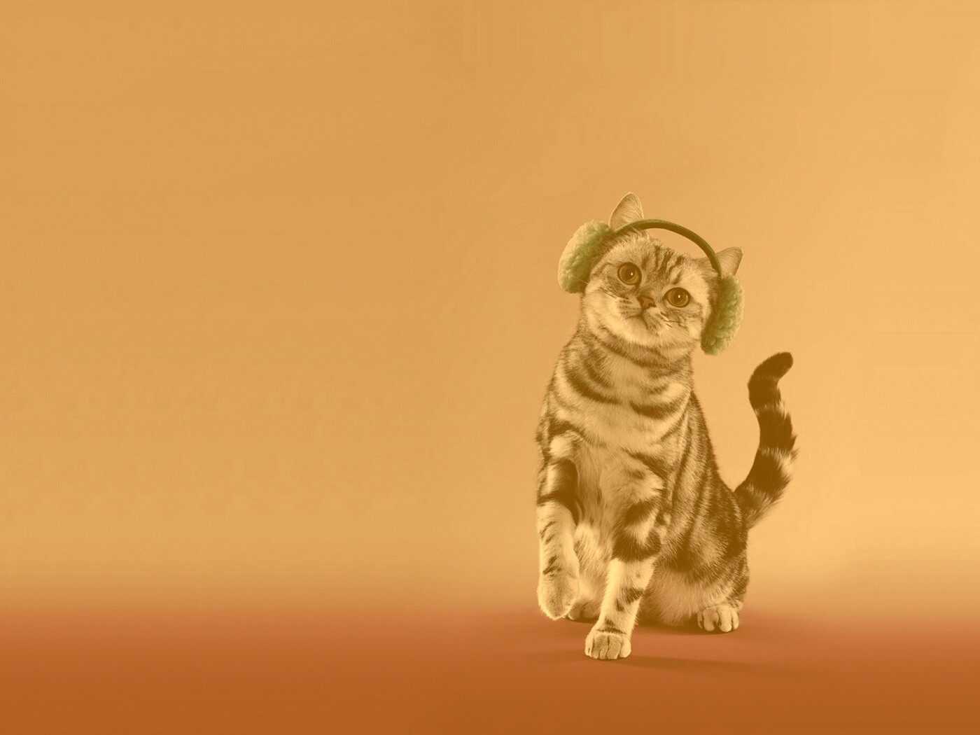 Кот в зеленых наушниках обои