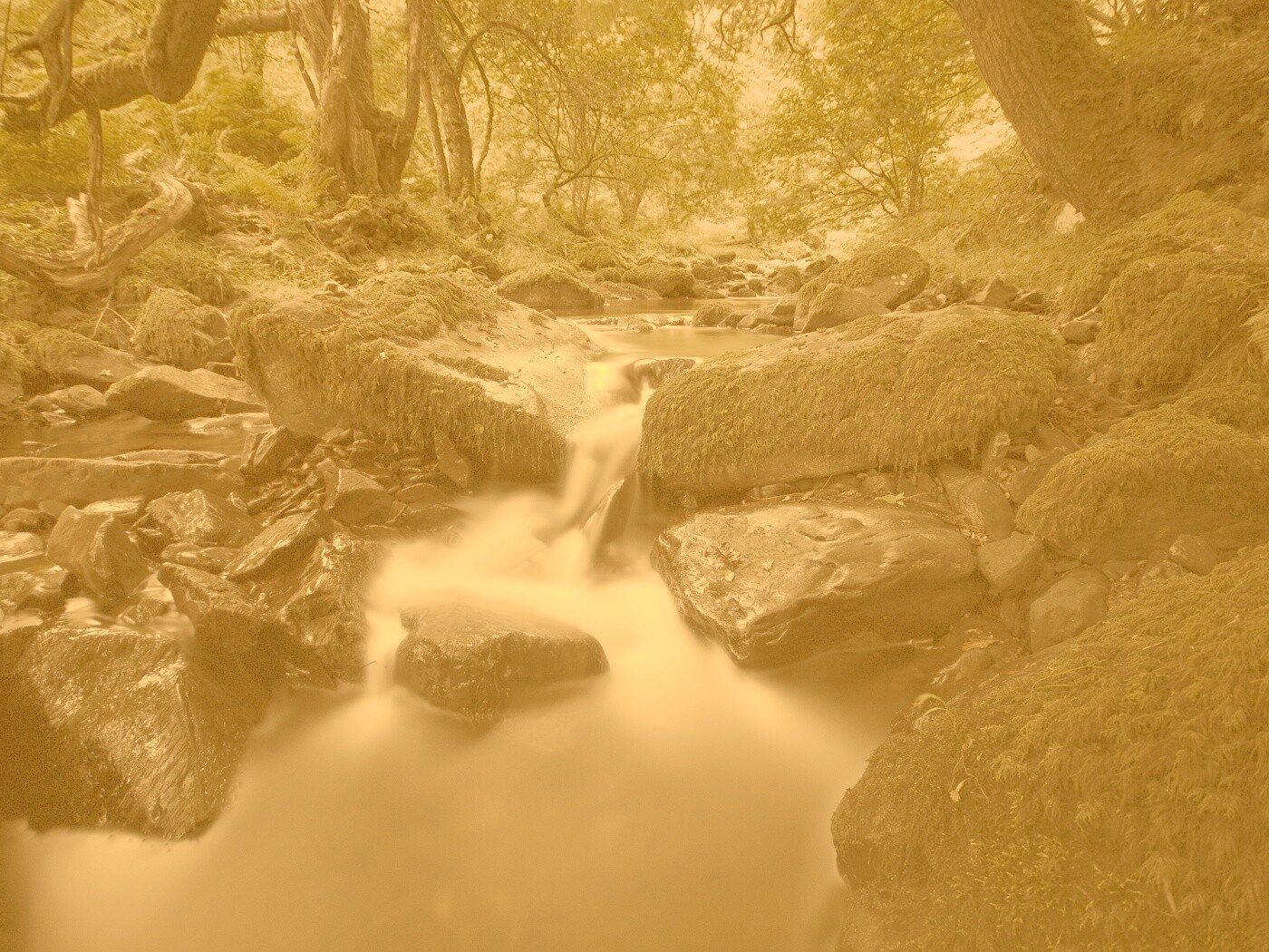 Речной поток в лесу обои